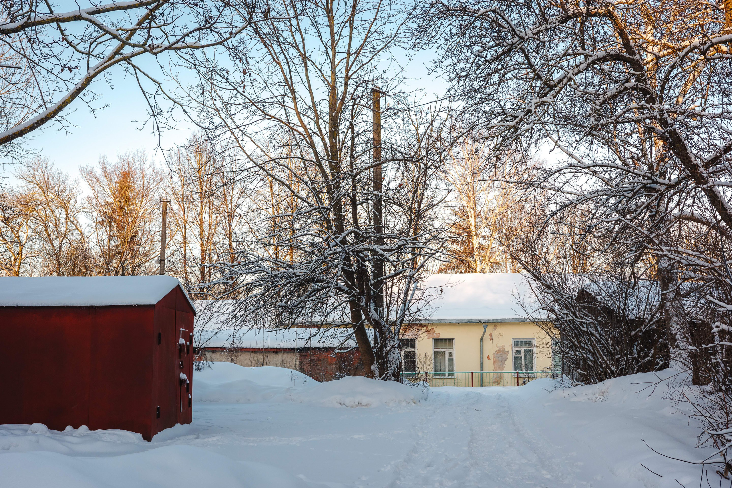 2024.01. Фотограф Алексей Алексеев