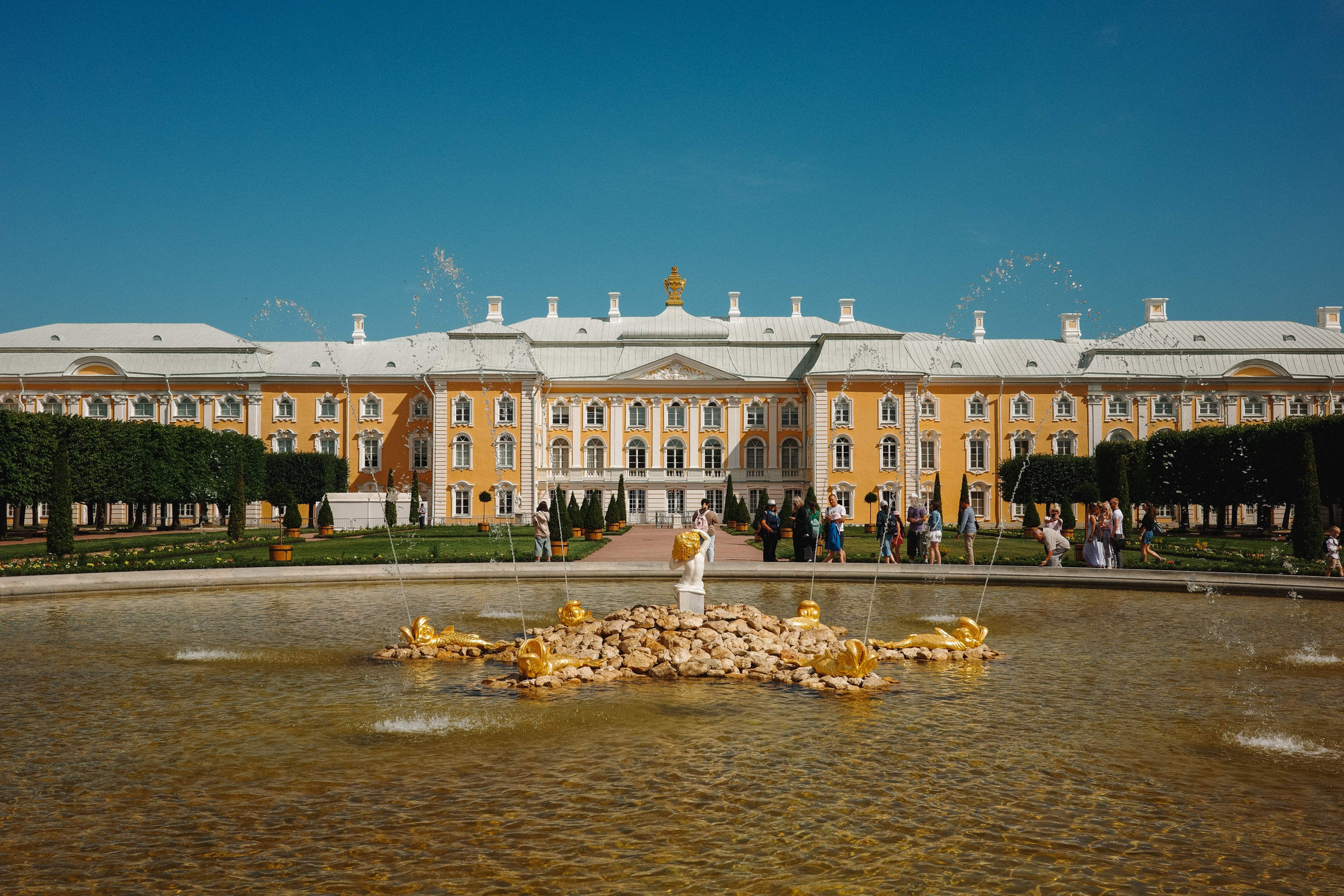 2024.06. Фотограф Алексей Алексеев