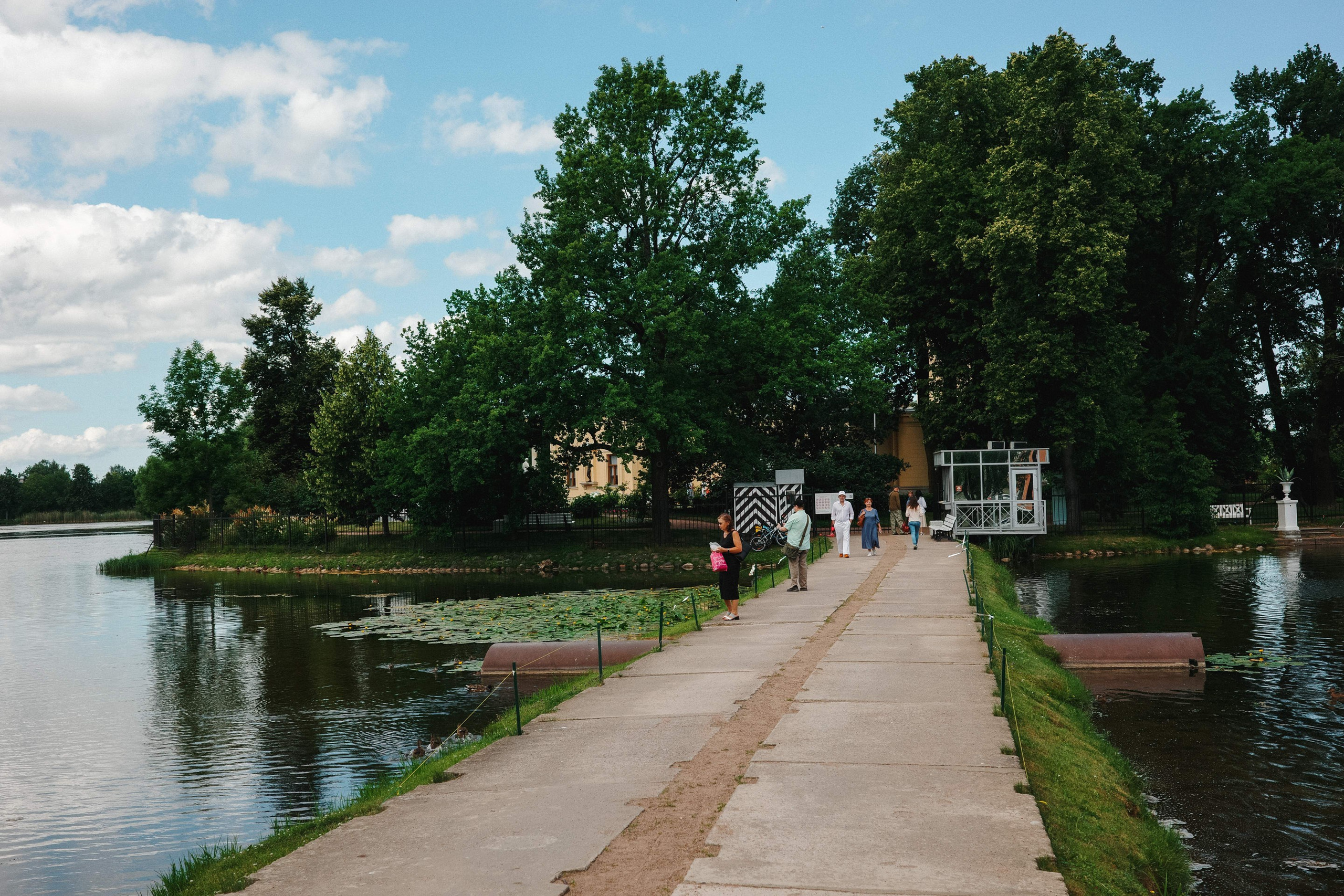 2024.06. Фотограф Алексей Алексеев