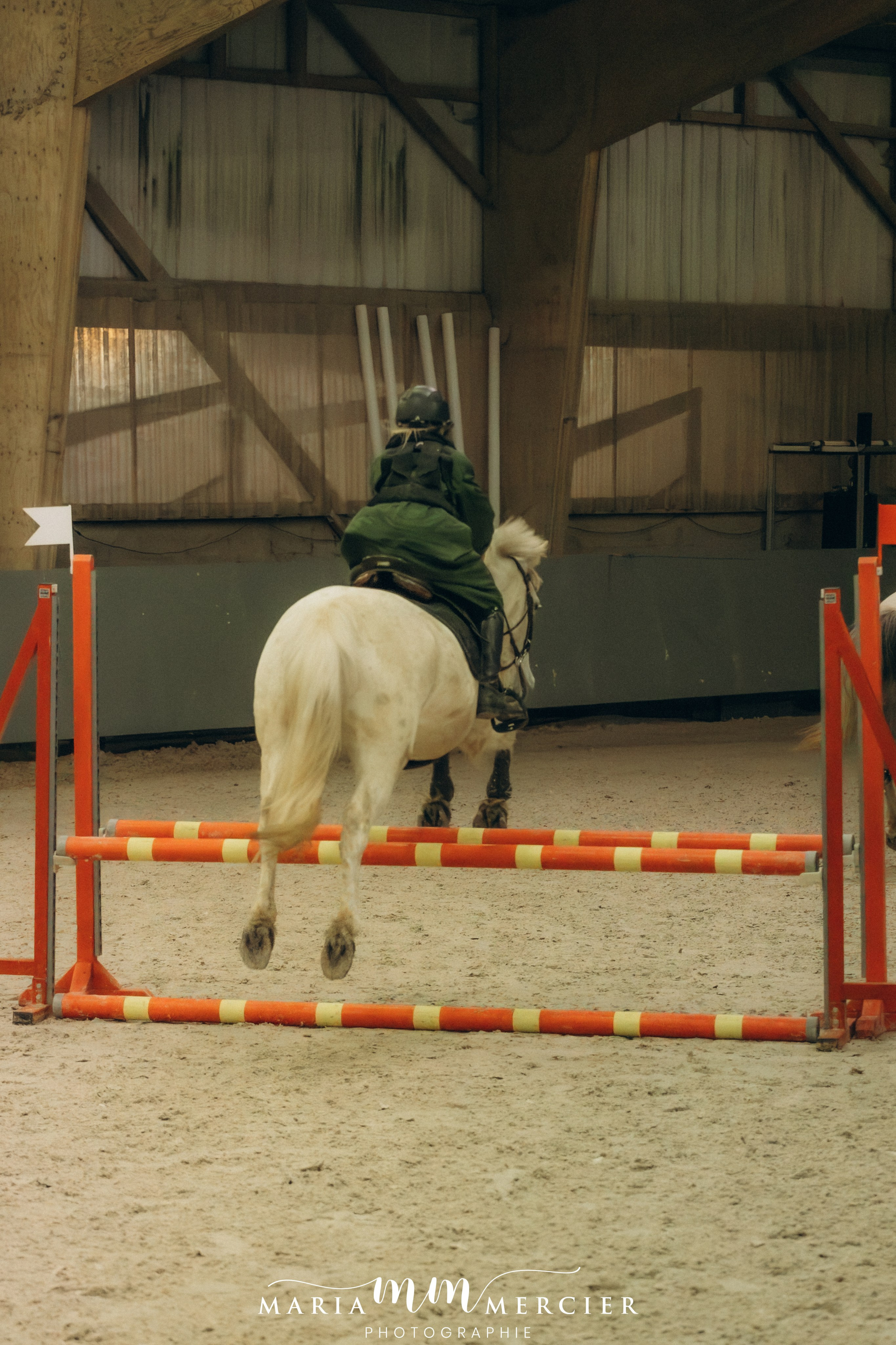 Evènements. Photographe des familles et enfants à Nantes et alentours