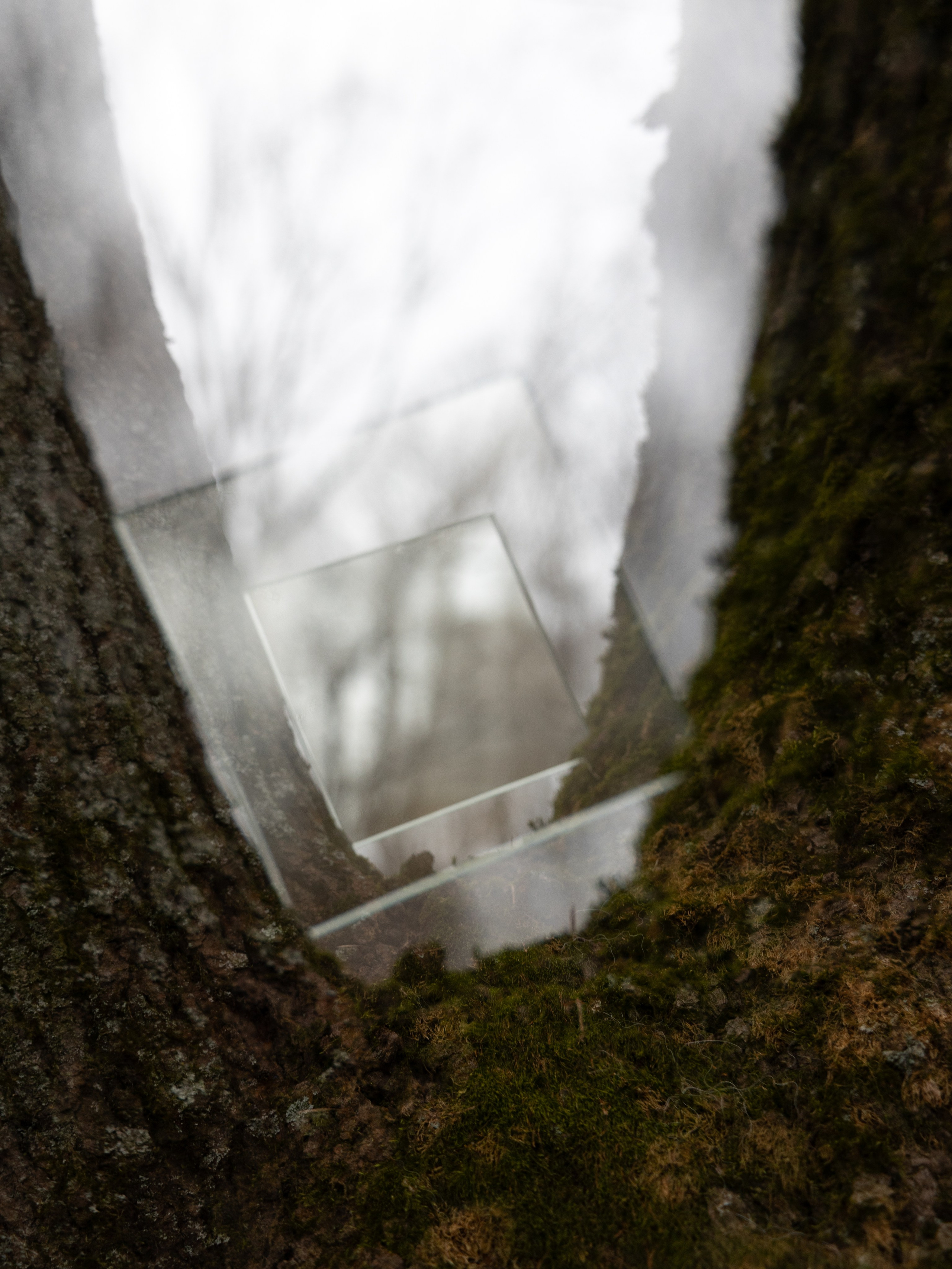 Точка сборки | The assembly point. Фотограф алина стерхова, алина стерхова фотограф, фотограф москва