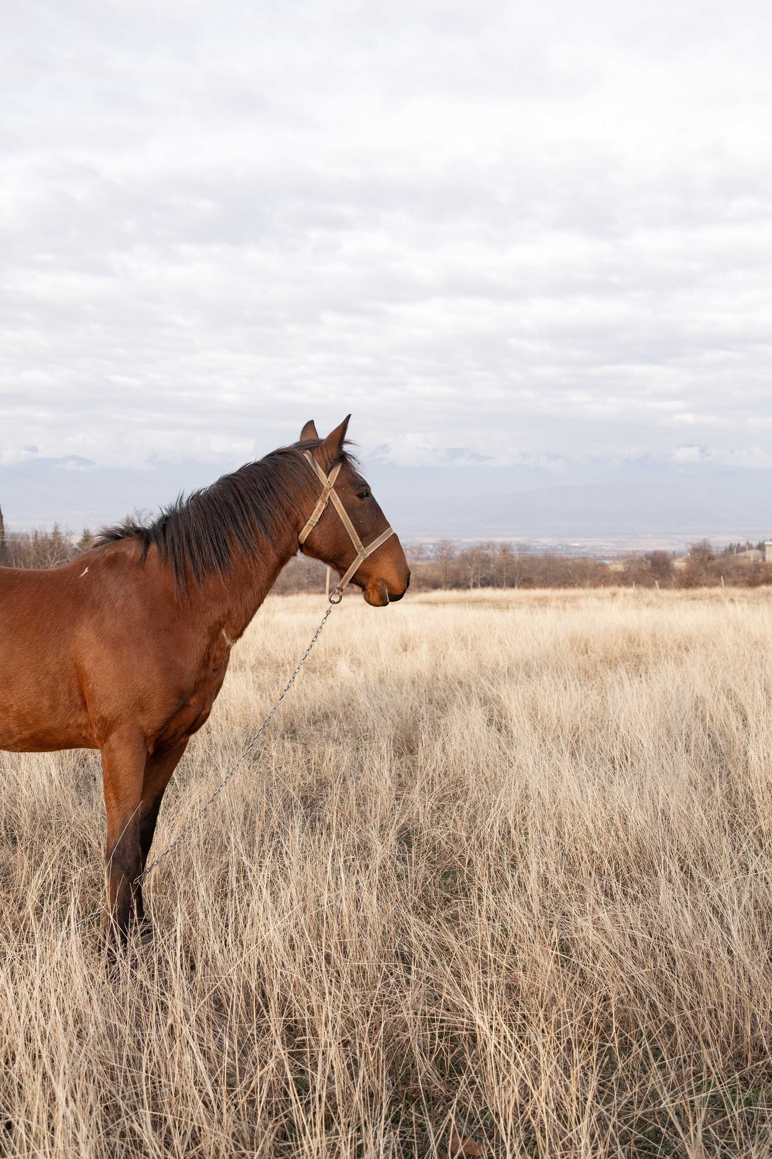 Богдан & Алина. Kondakovaa.ph | Фотограф в Москве