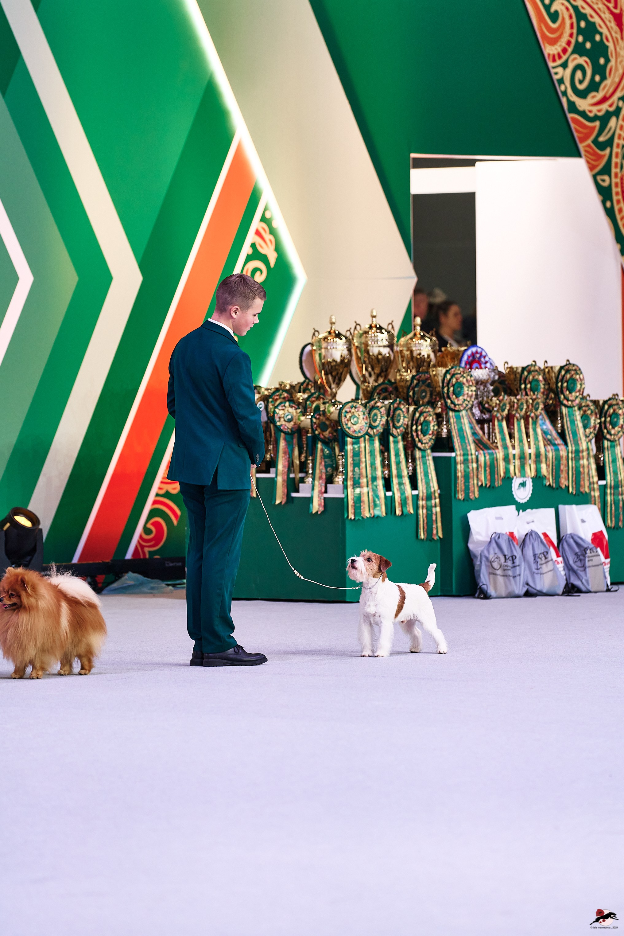 16.11.2024 «ЕВРАЗИЯ. КУБОК ПРЕЗИДЕНТА РКФ 2024»