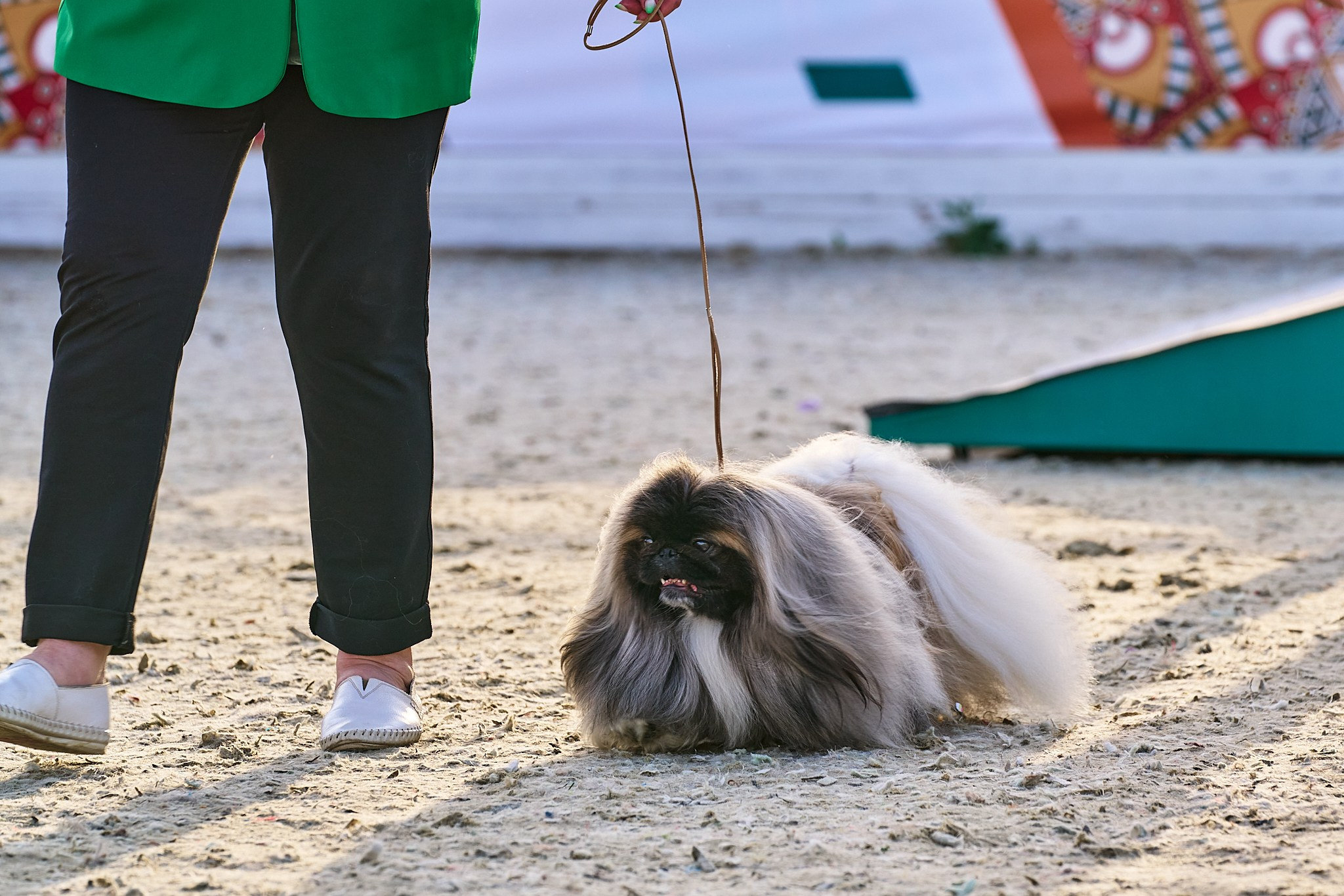 08.06.2024 «РОССИЯ. КУБОК РКФ 2024»