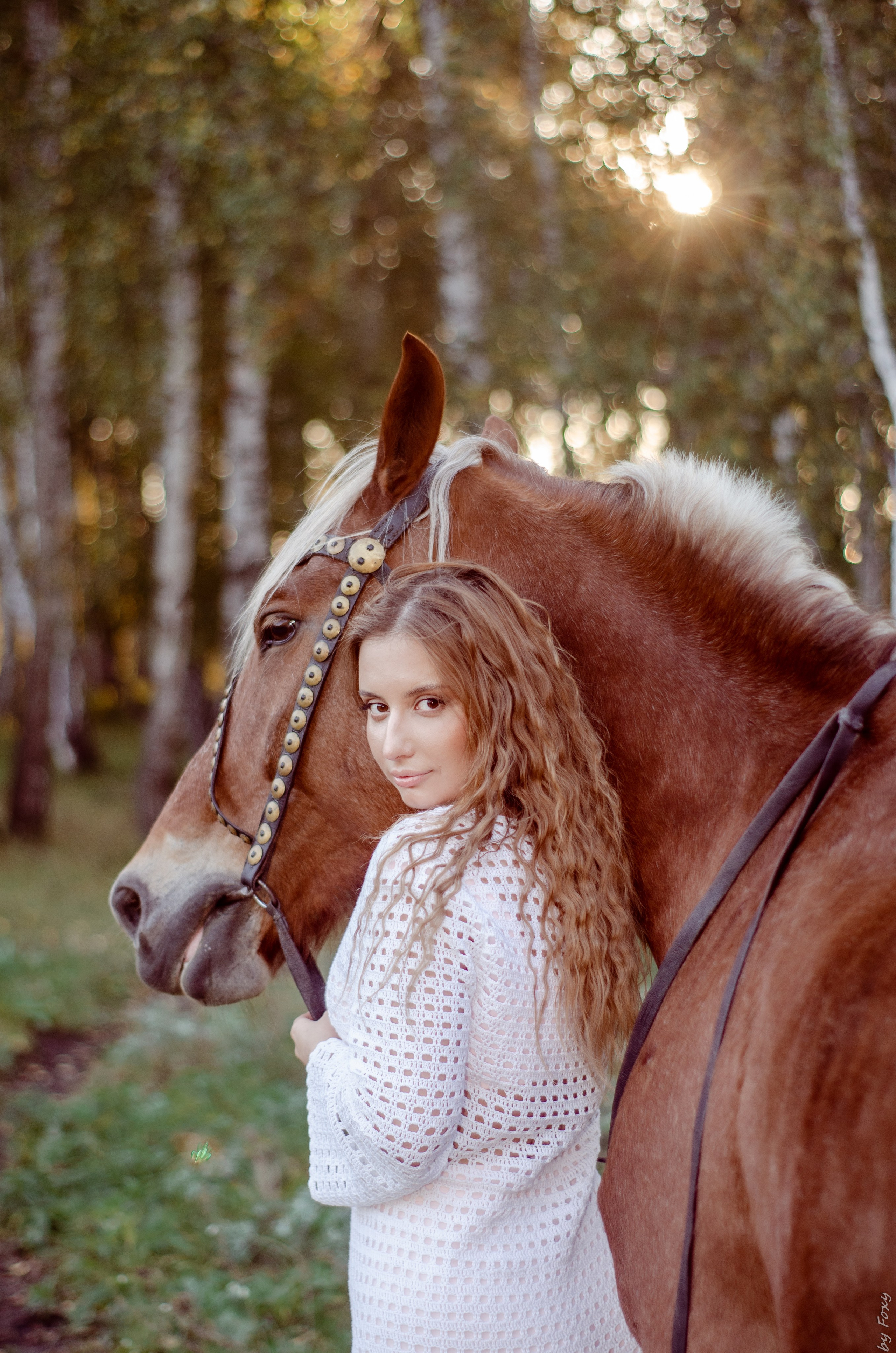 Исполнение мечты