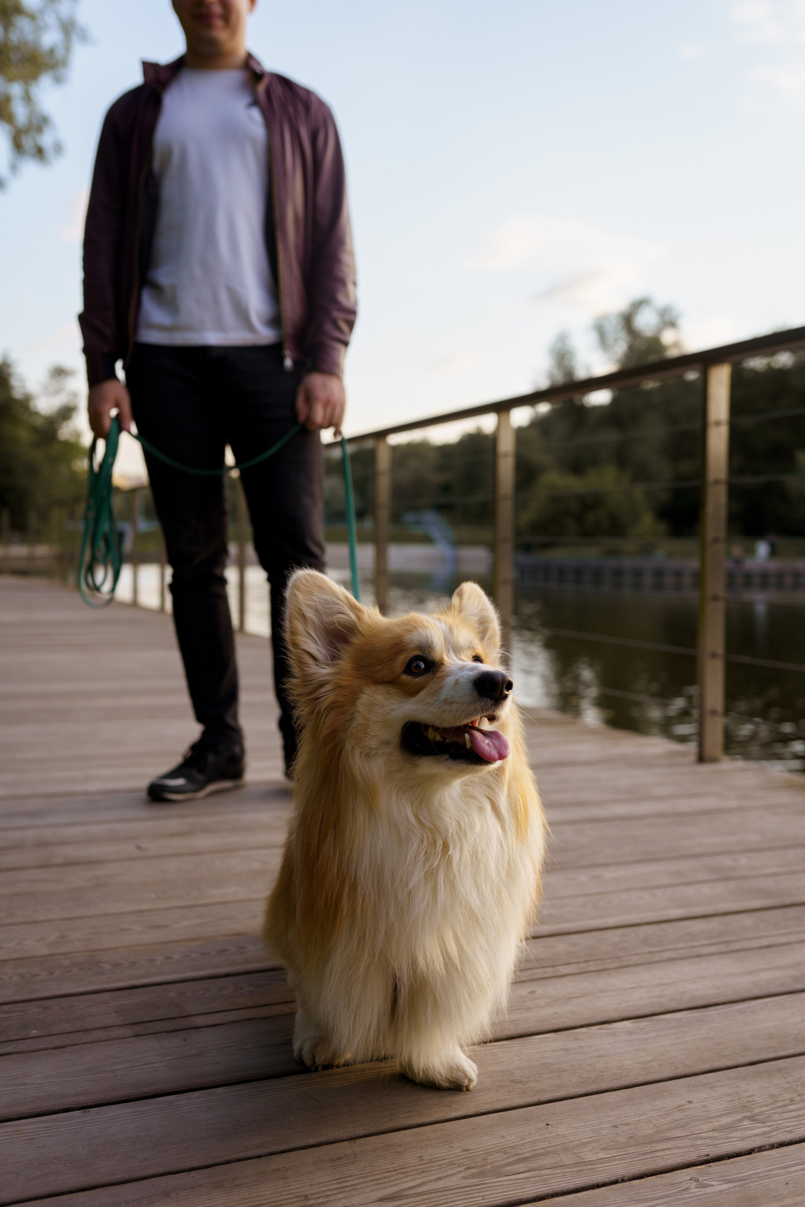 Катя, Арсений и Пух. Свадебный фотограф в Москве Анна Полушина