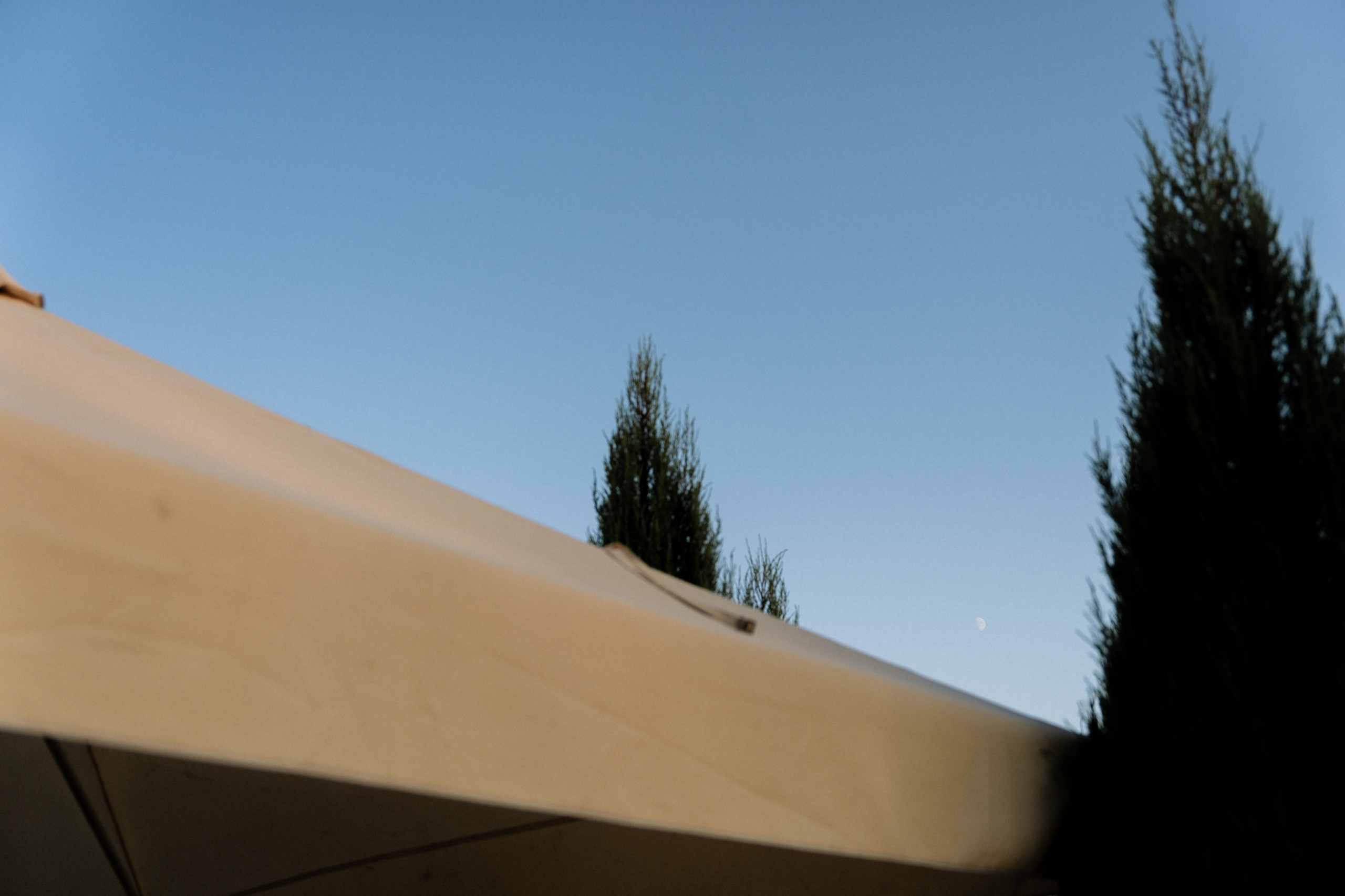 D+D. Полный день (сокращено). Семейный и портретный фотограф в Саратове Сахарова Маша