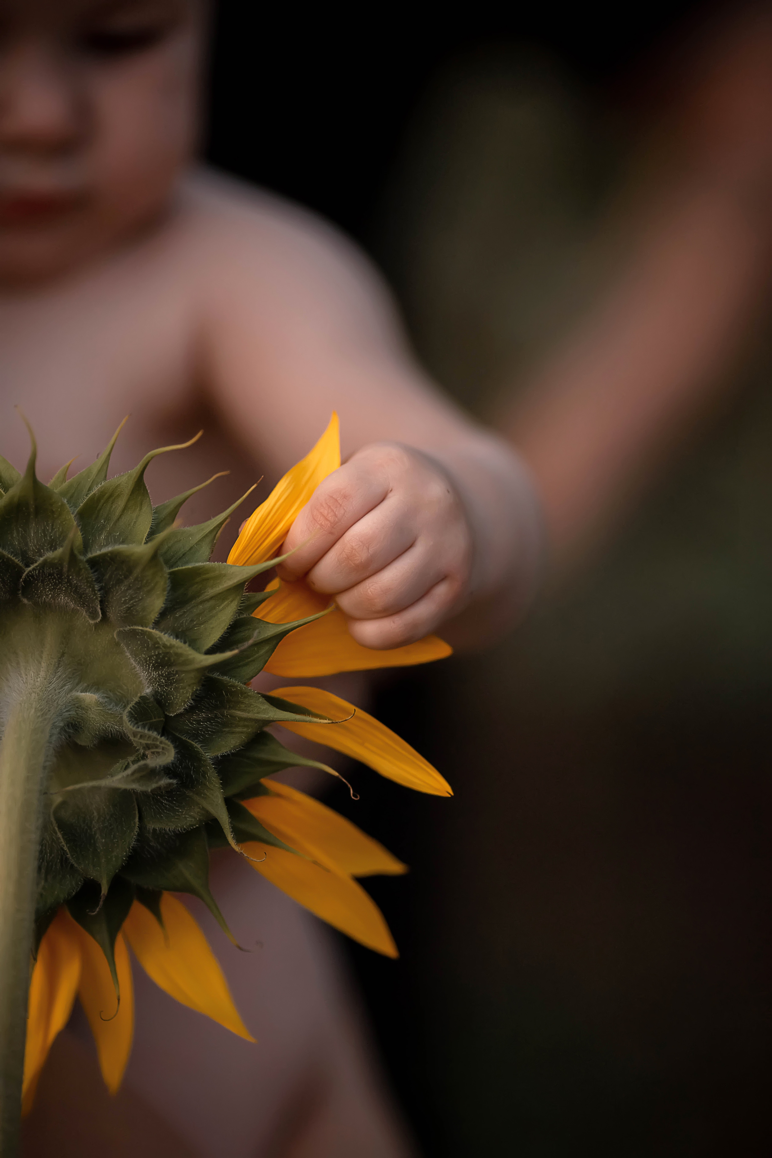 Семейная фотосессия. Семейный и детский фотограф в Саратове Юлия Клим