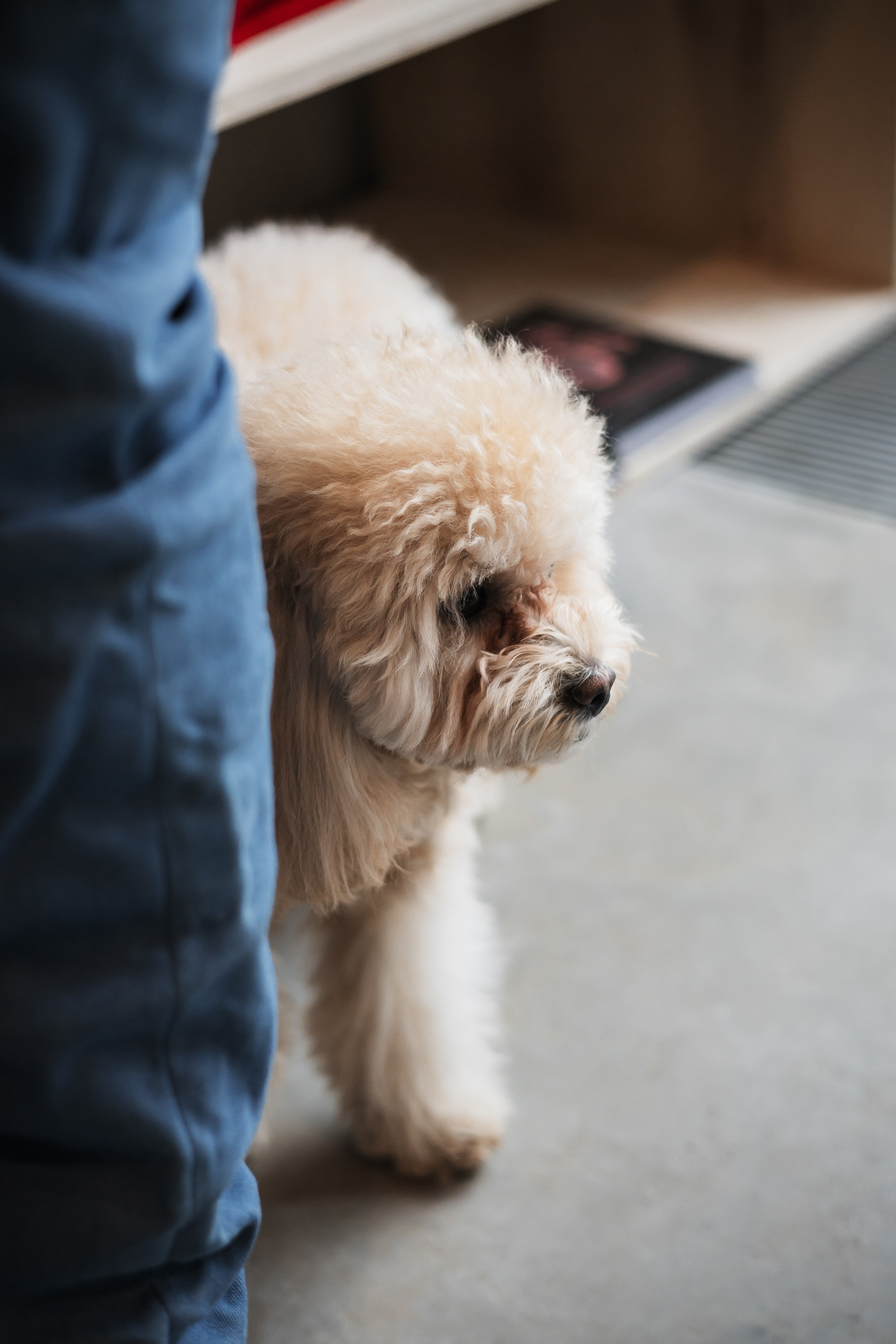 Алина — прогулка