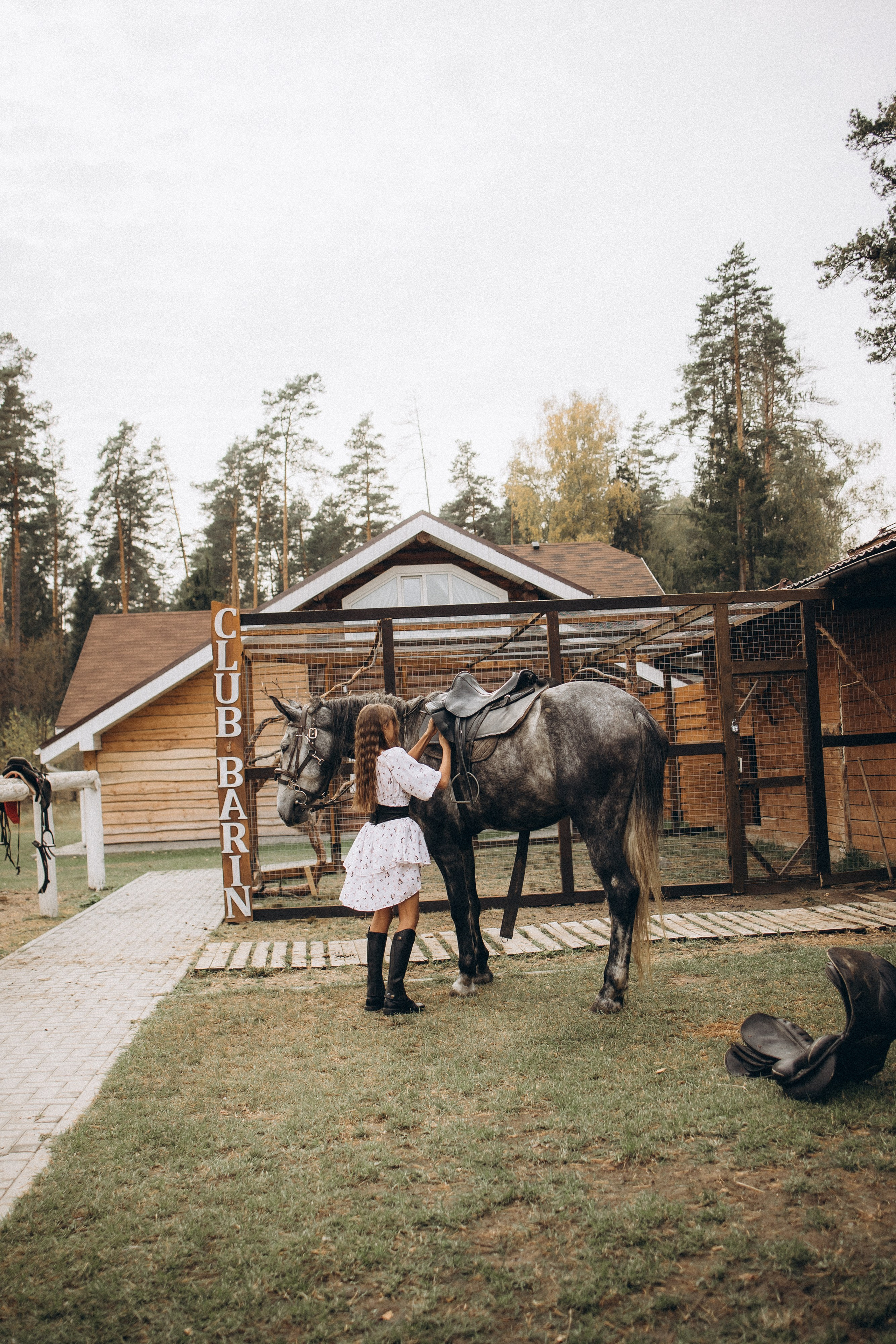 Лошади. Ваш фотограф в Москве и области Юлия