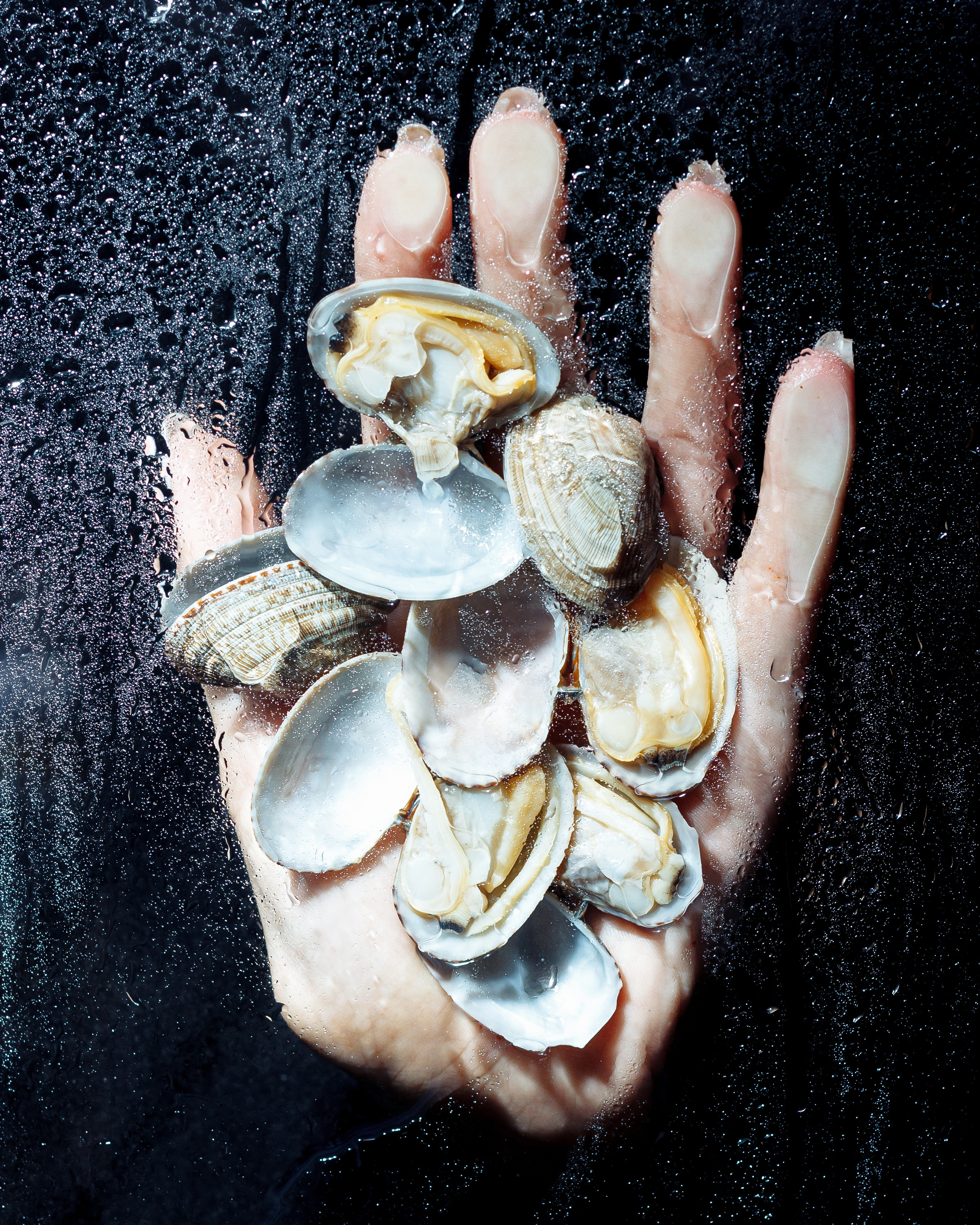 Морики, Moriki, seafood, bistro, prosecco