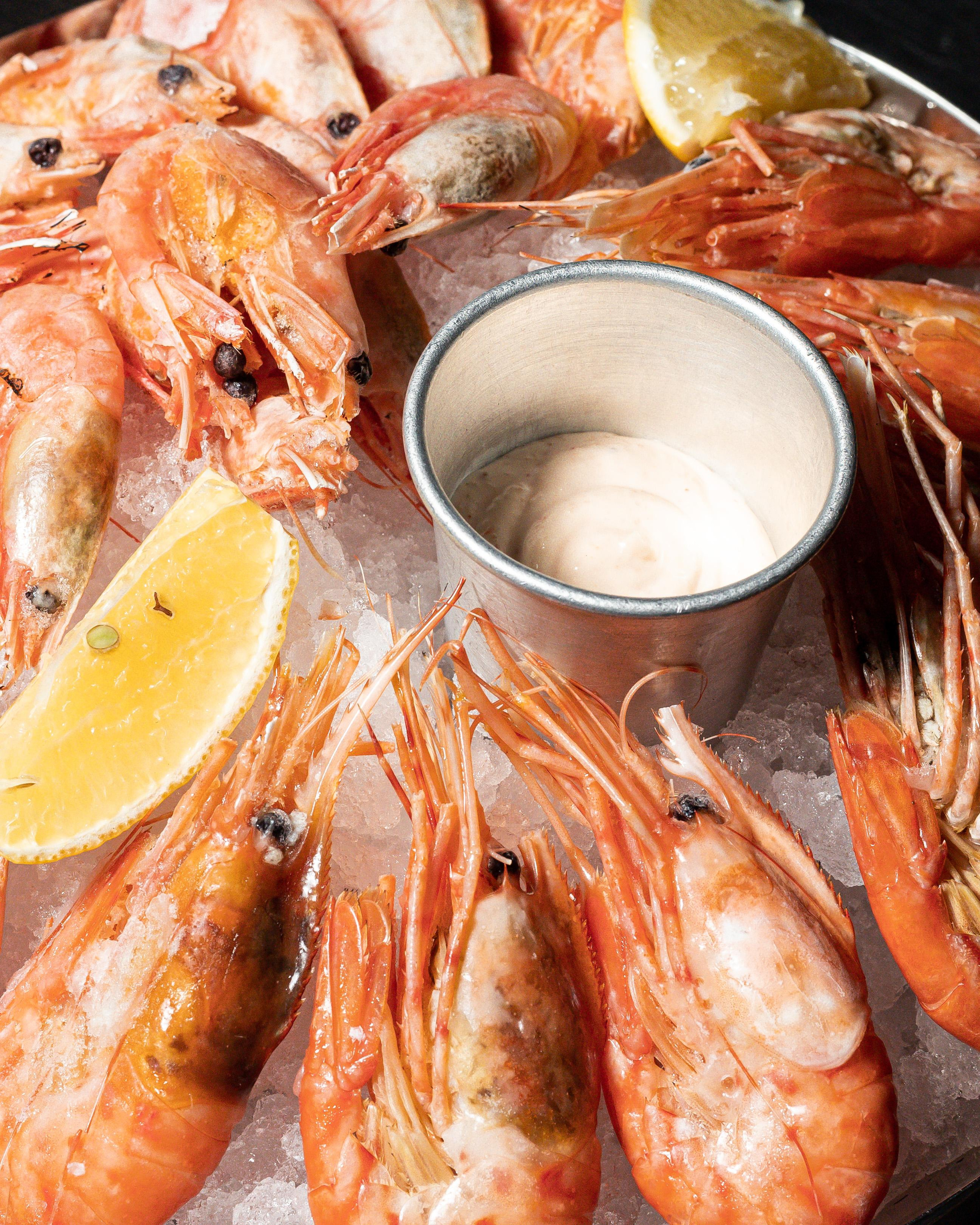 Морики. Контент фотограф в Ростове-на-Дону Мардус Павел