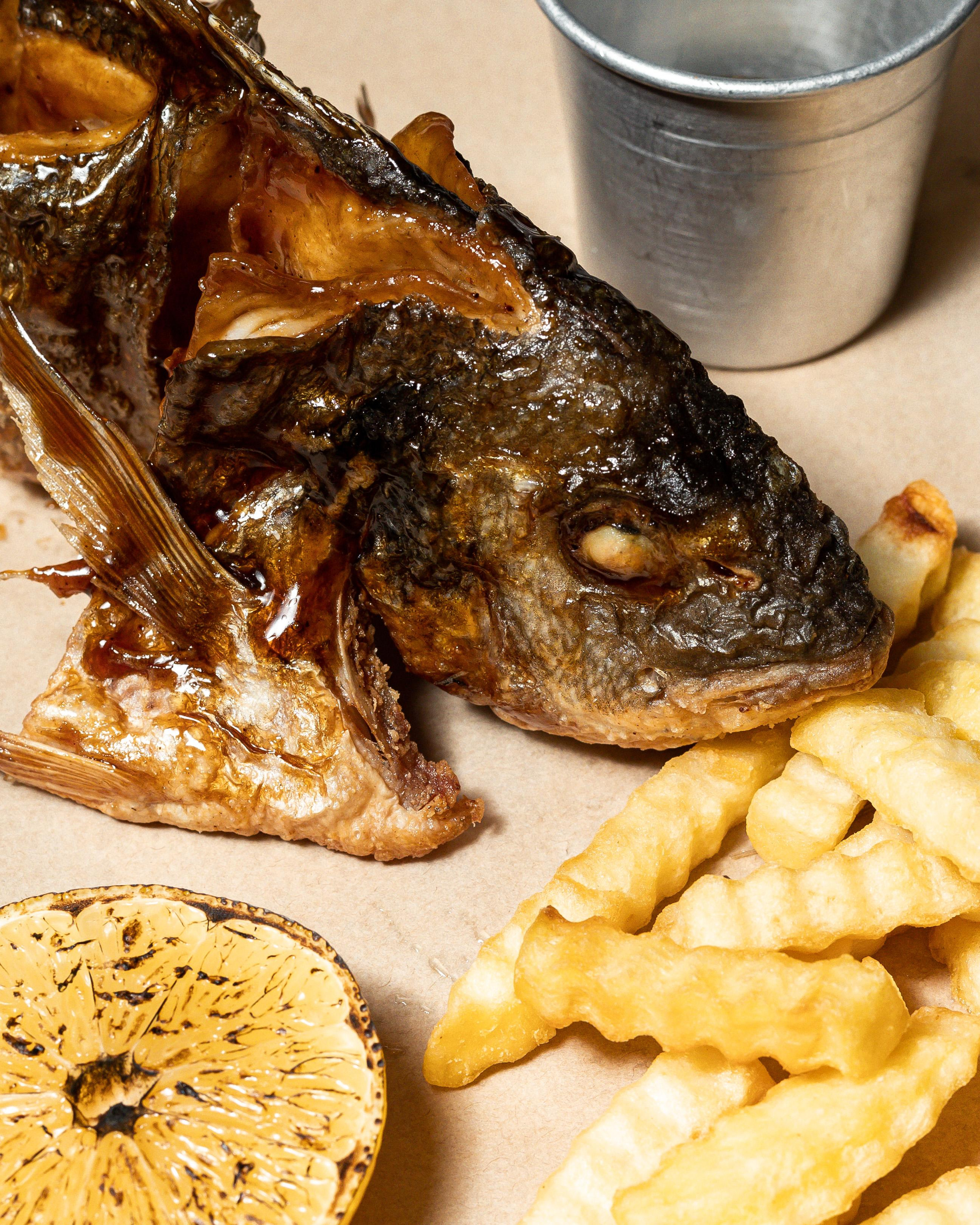 Морики. Контент фотограф в Ростове-на-Дону Мардус Павел