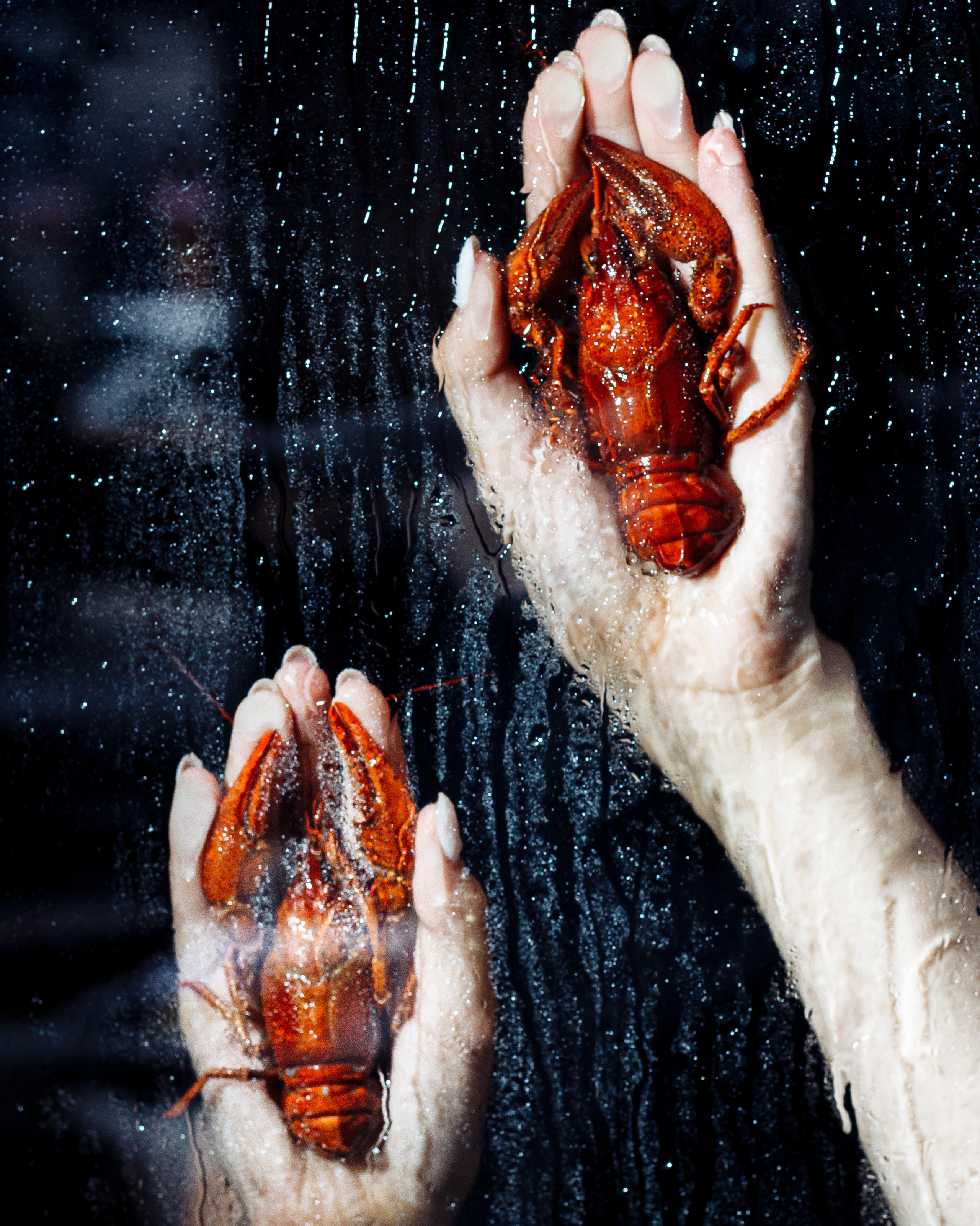 Морики, Moriki, seafood, bistro, prosecco