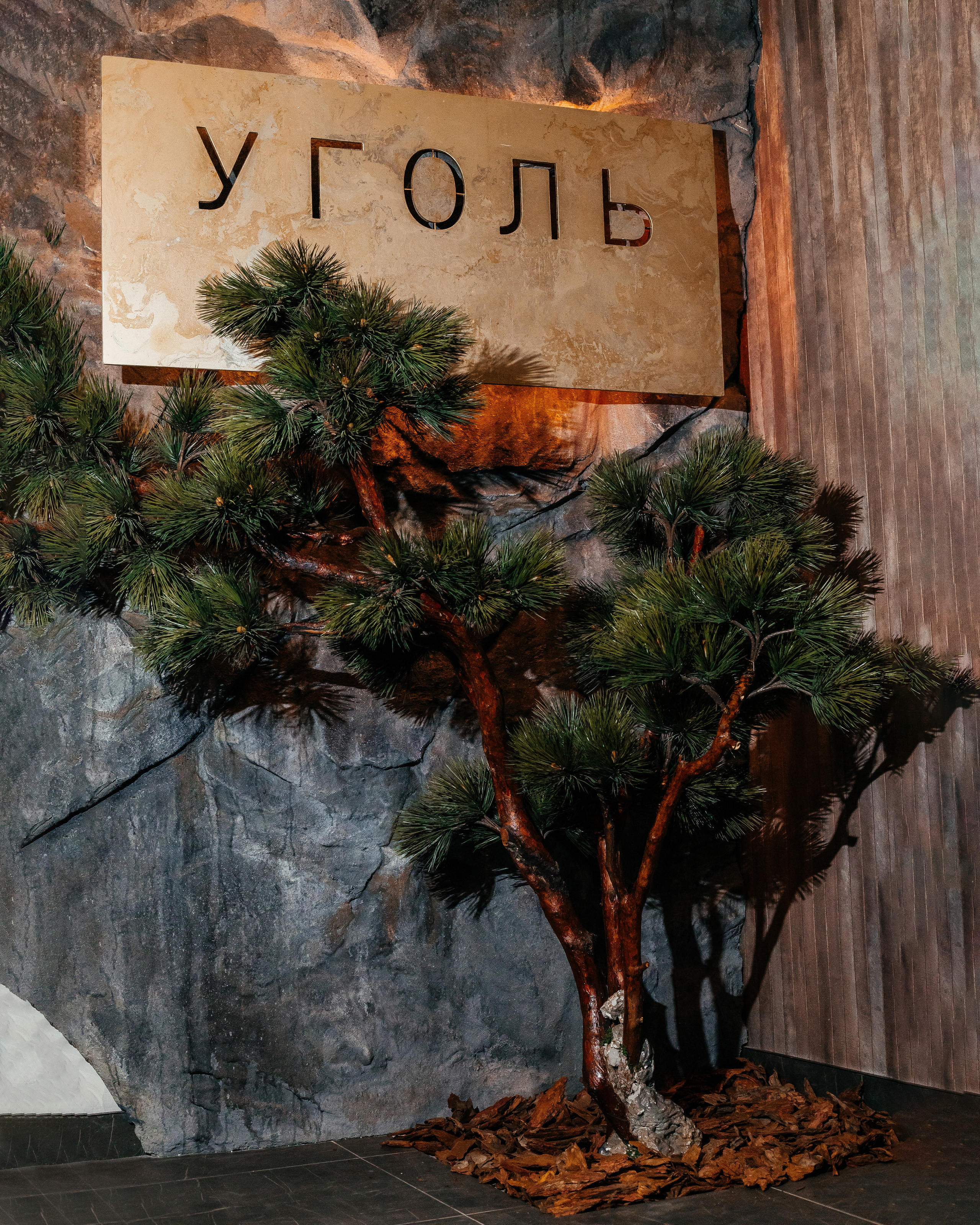 Уголь. Контент фотограф в Ростове-на-Дону Мардус Павел