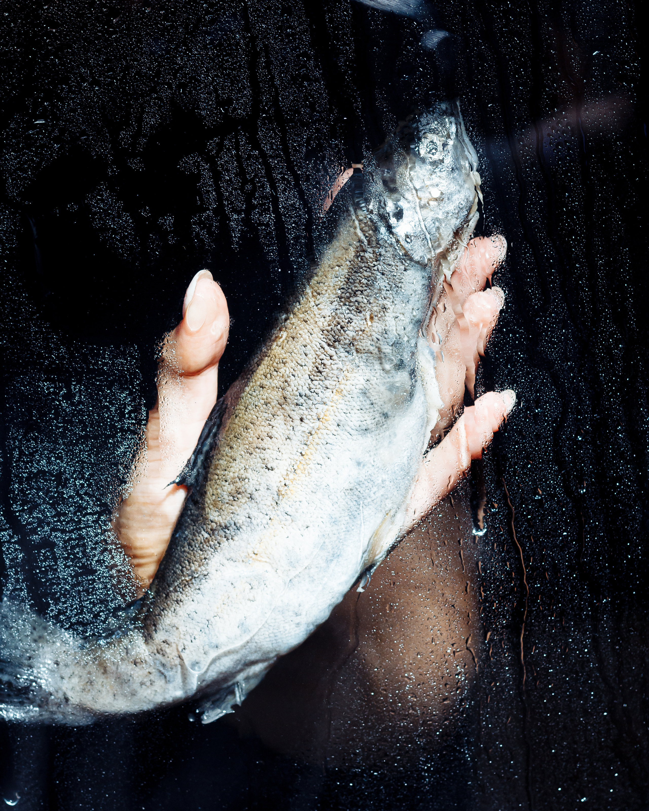 Морики, Moriki, seafood, bistro, prosecco