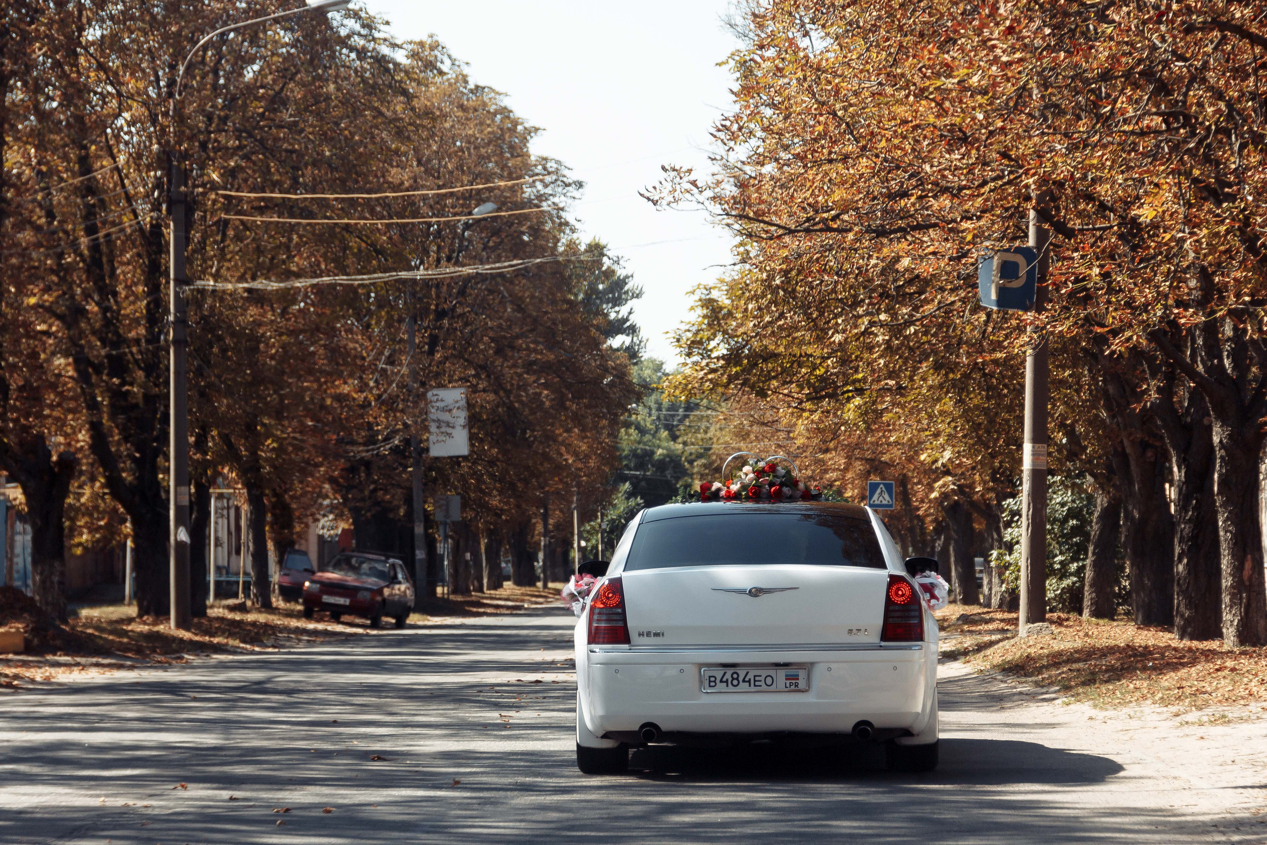 Свадьба Андрея и Наташи 11 сентября 2021. Контент фотограф в Ростове-на-Дону Мардус Павел