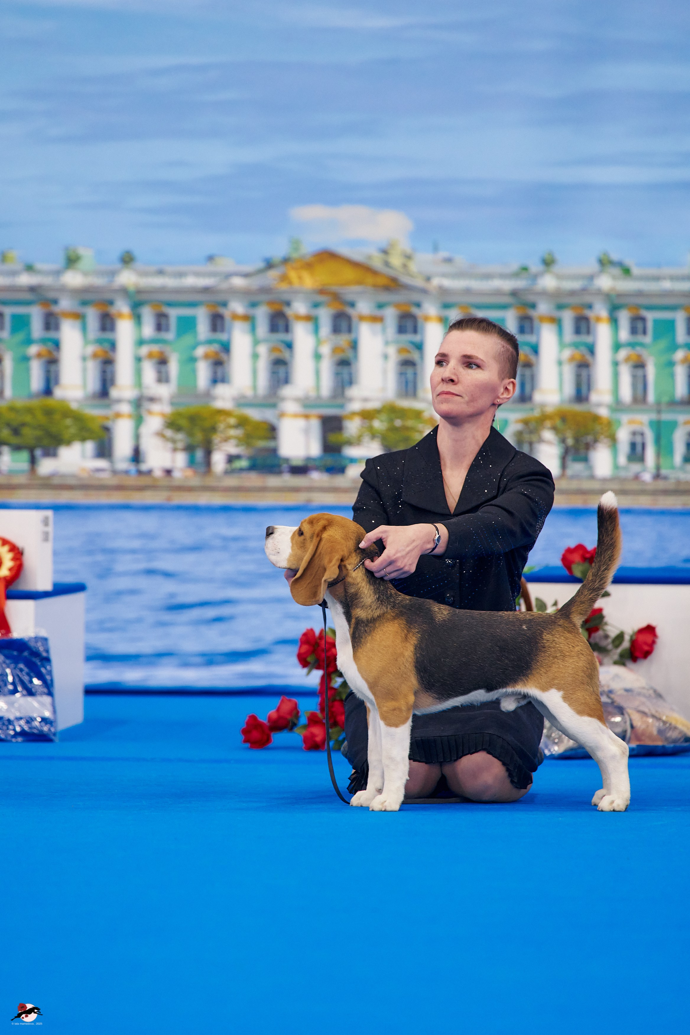 27.04.2025 | "Петербург-Элита 2025" & «КУБОК «ЭЛИТЫ»-2025»