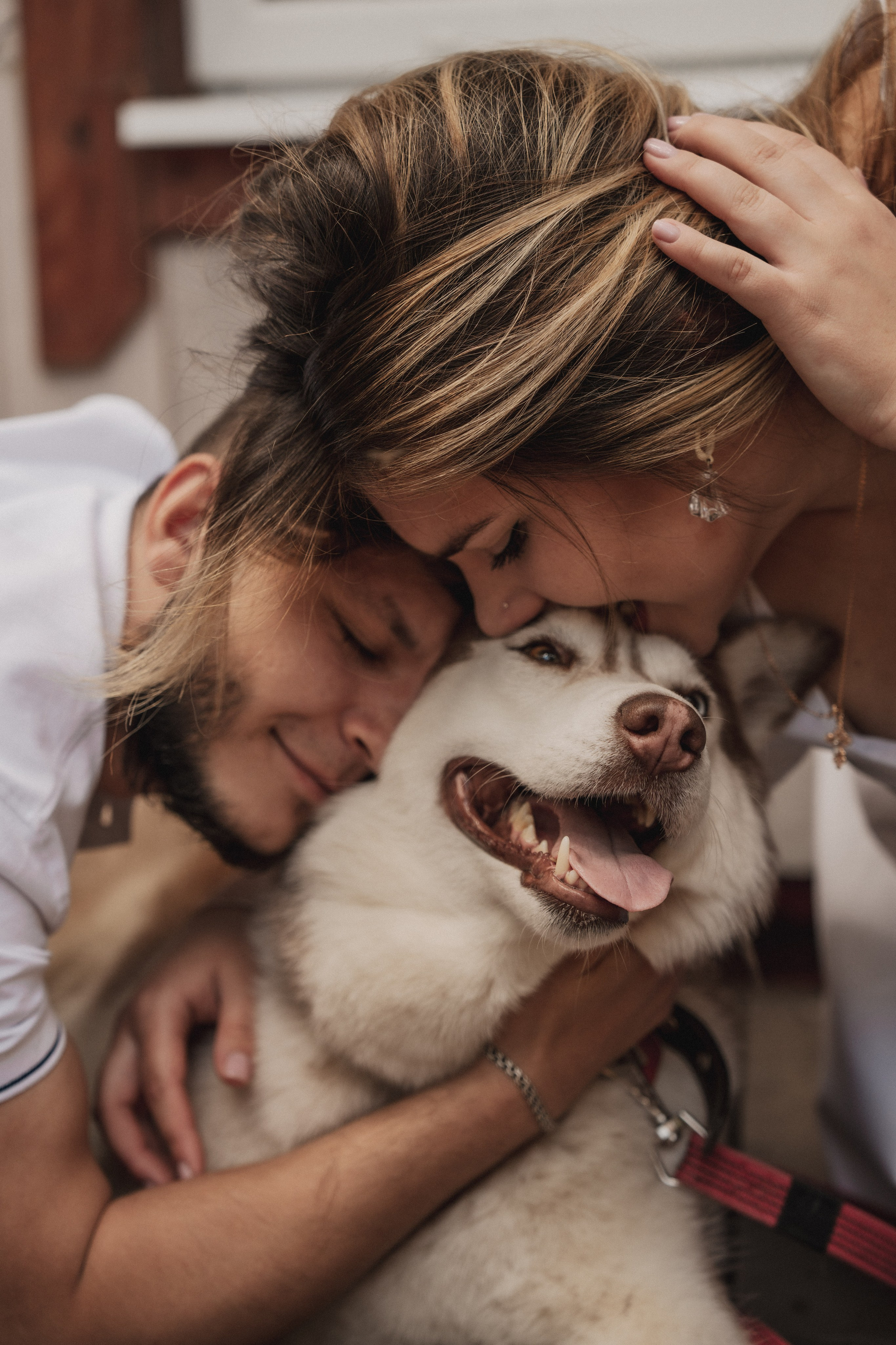 Дарья ♡ Максим ✧ Чоки — История любви, когда в семье есть хаски. Свадебный и портретный фотограф в Москве, Светлана Янковая