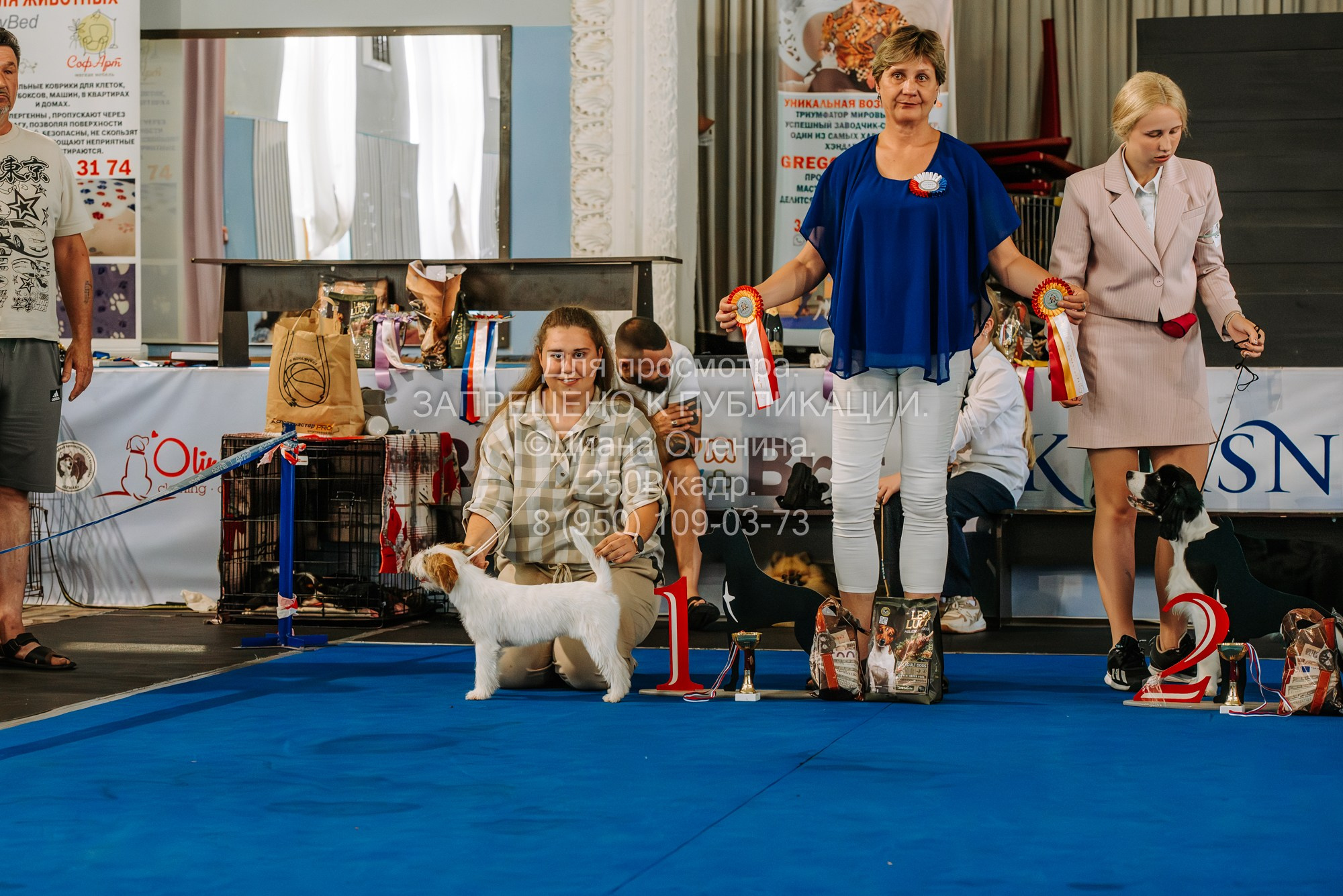 Национальная выставка собак всех пород ранга САС-IKU «Кубок Красноярск. Фотограф Диана Оленина Красноярск / Братск