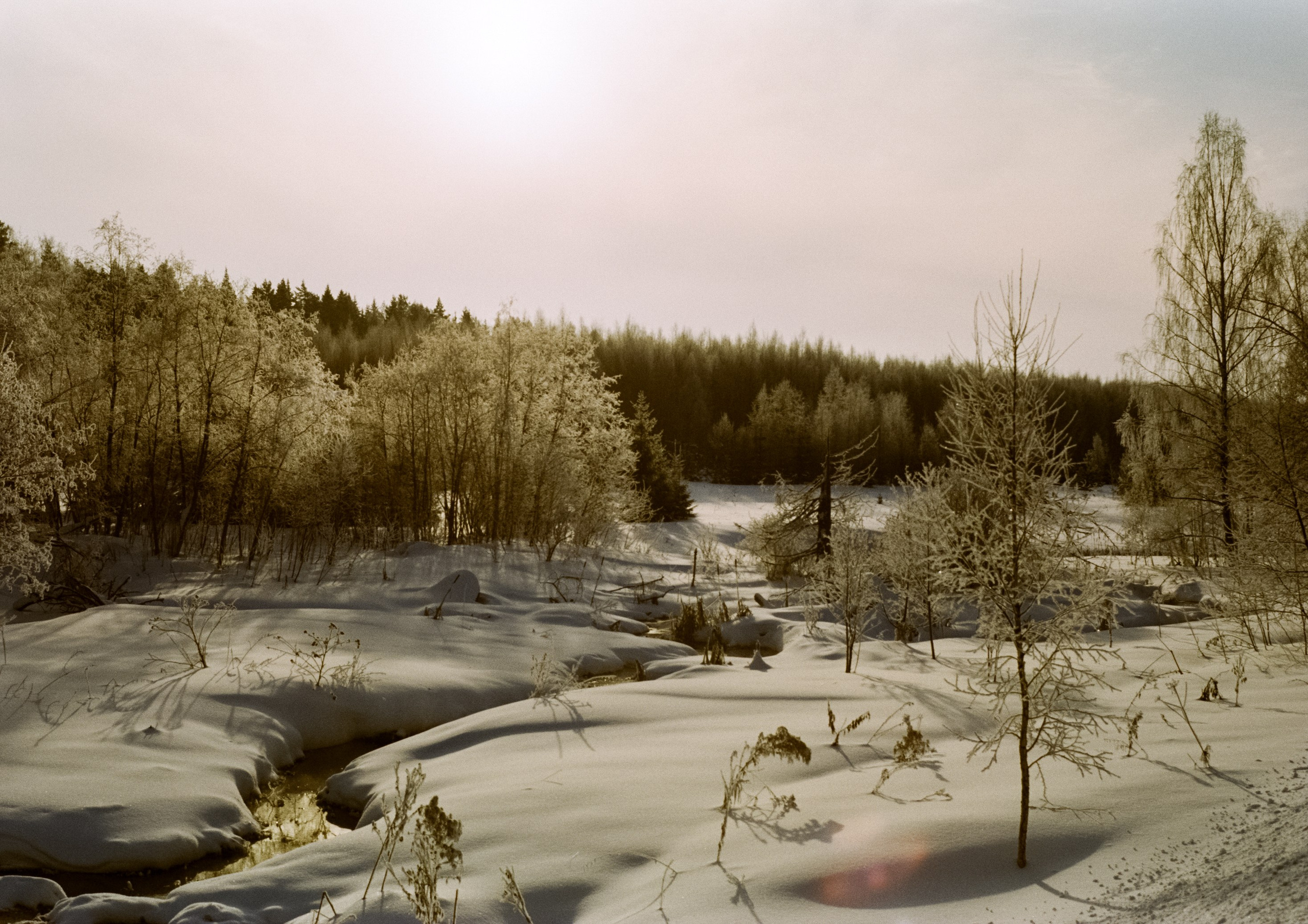 Pentax MZ-3 (1) объектив Schneider-Kreuznach Retina-Xenon 50 mm f/1.9 D