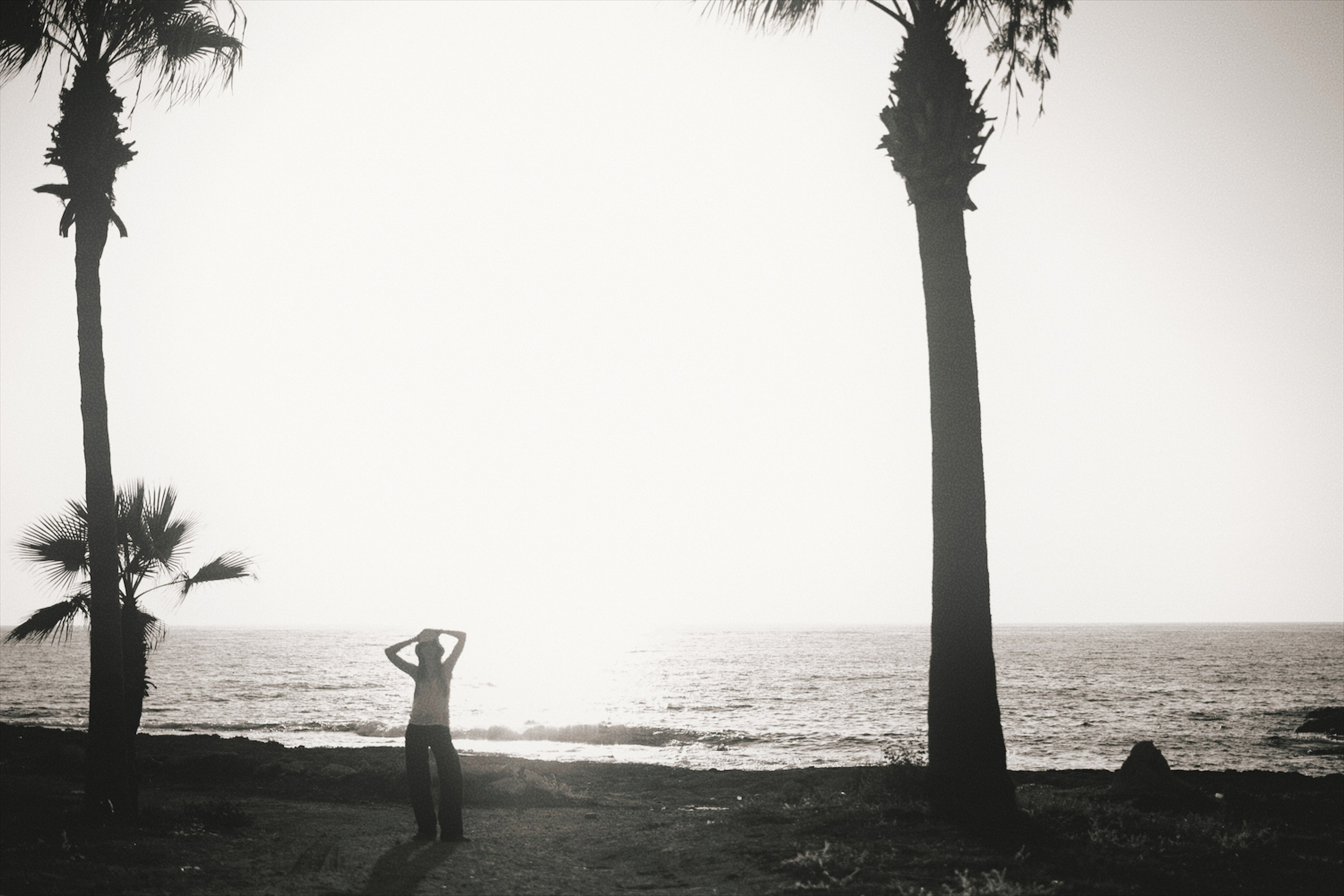 34666134. Photographer Limassol