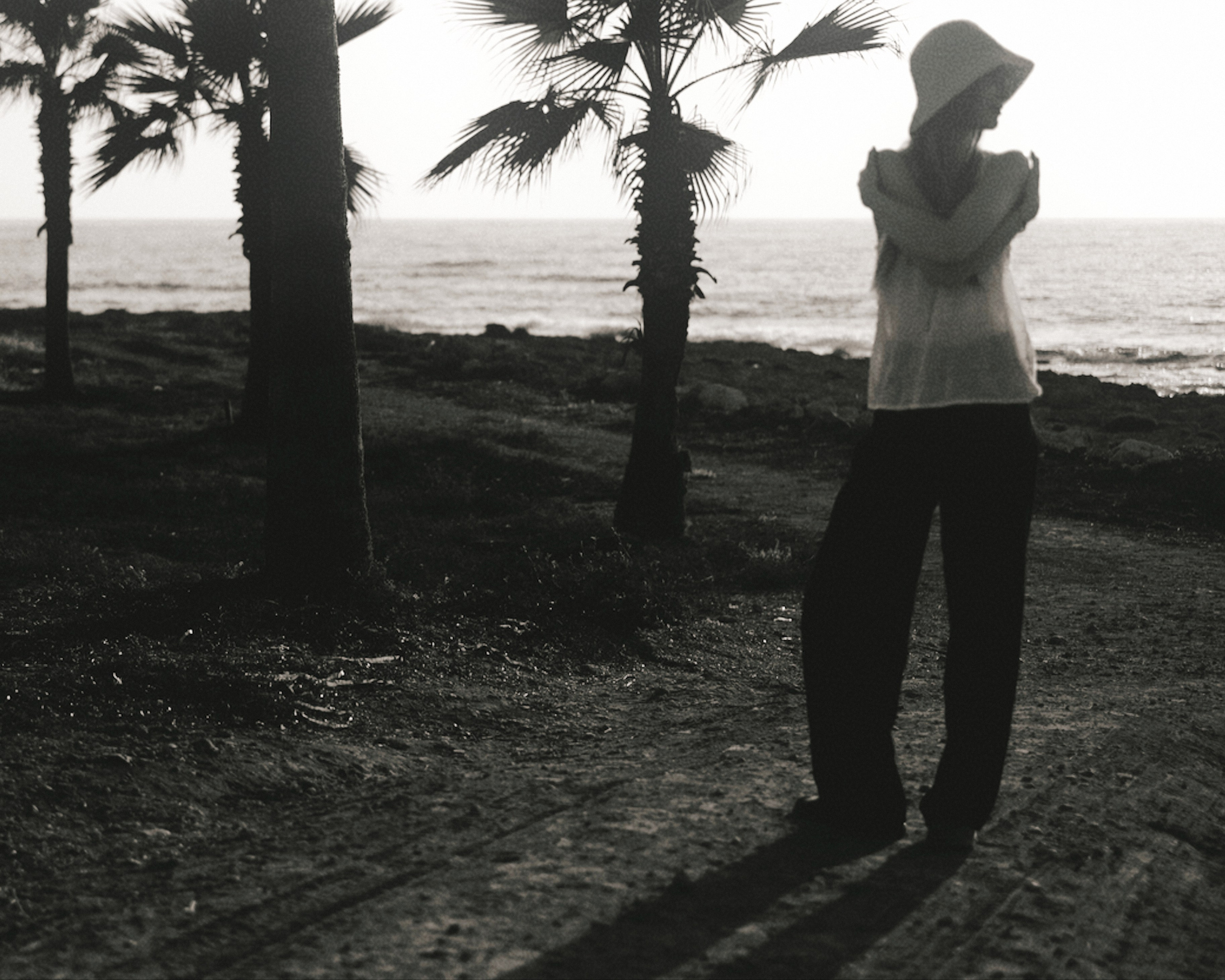 34666134. Photographer Limassol