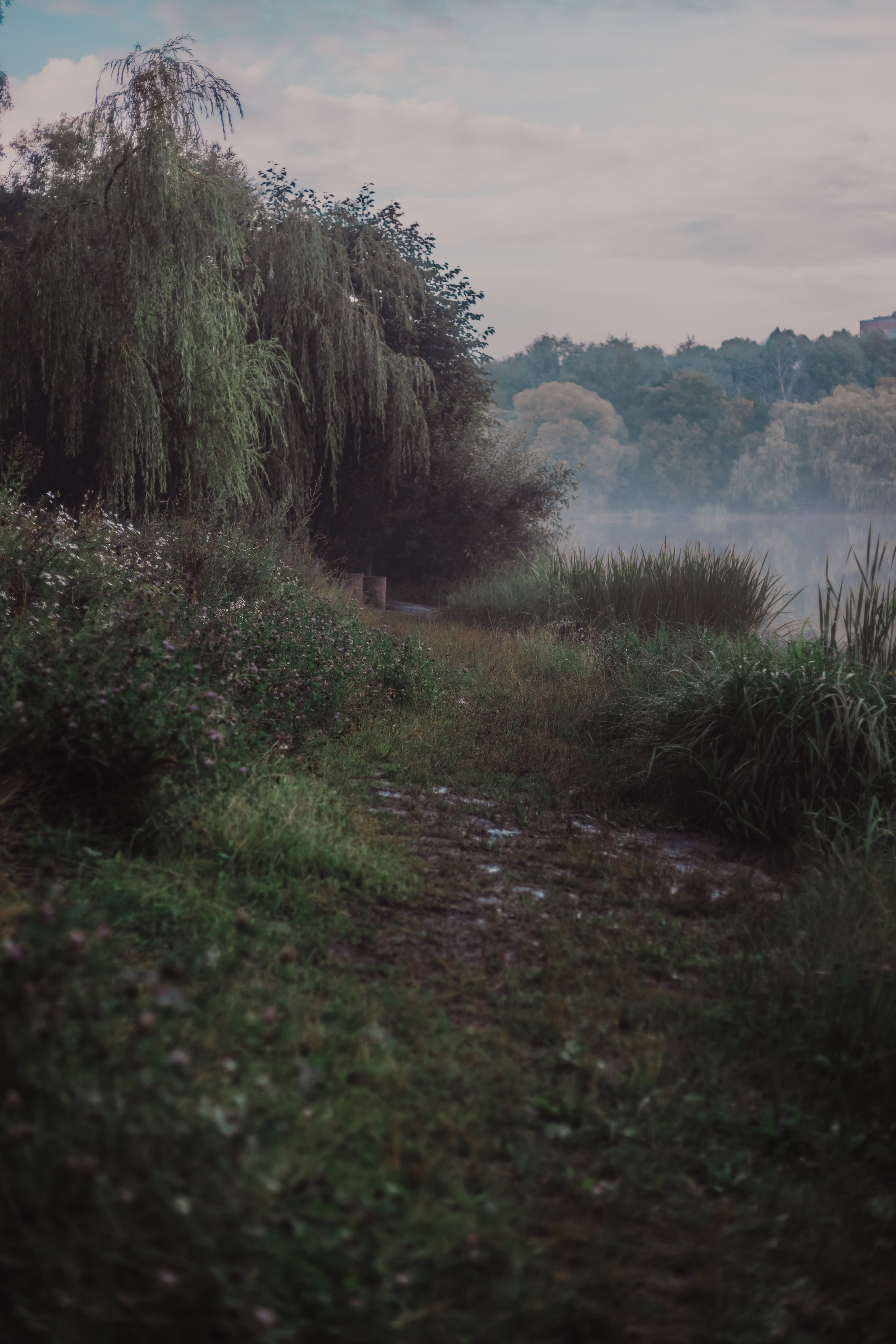 Магия леса. Мариам Багдасарян