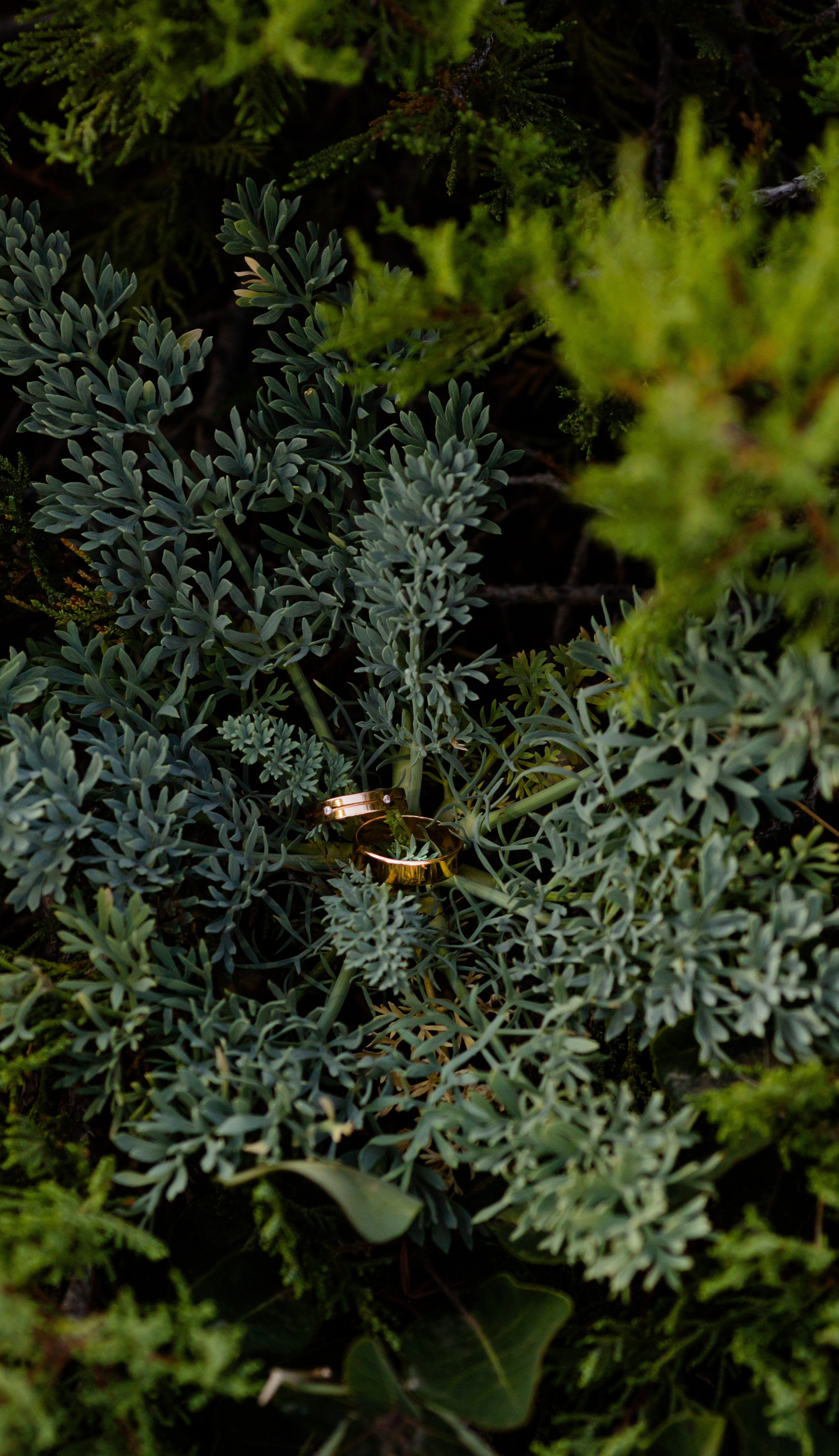 Новый Свет Крым. Свадебный и семейный Фотограф в Крыму и Симферополе Виктория Максимова