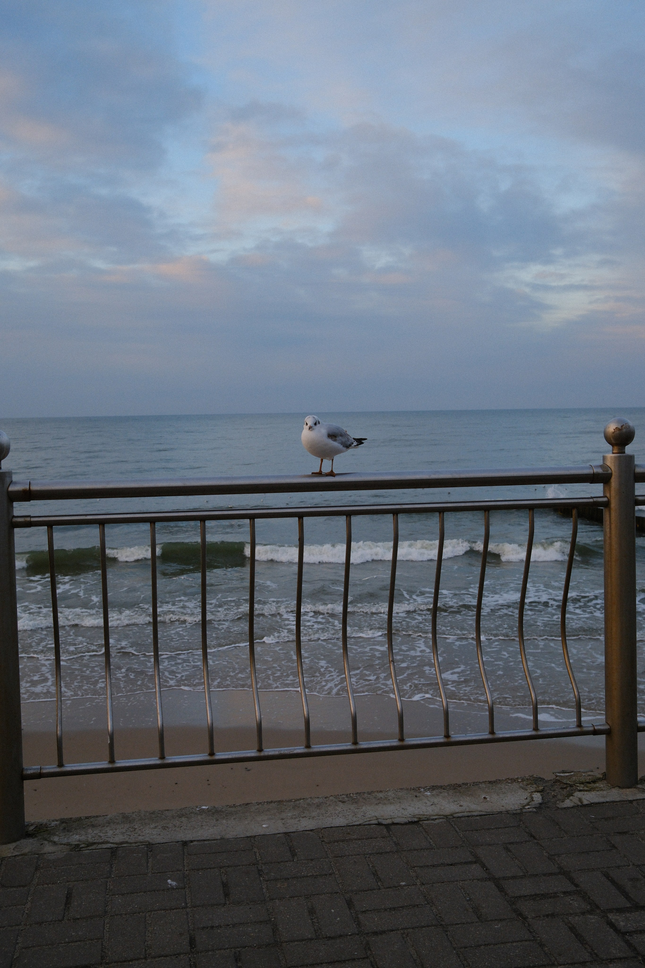 Зеленоградск. Калининградская область. Алексей Торопов фотограф