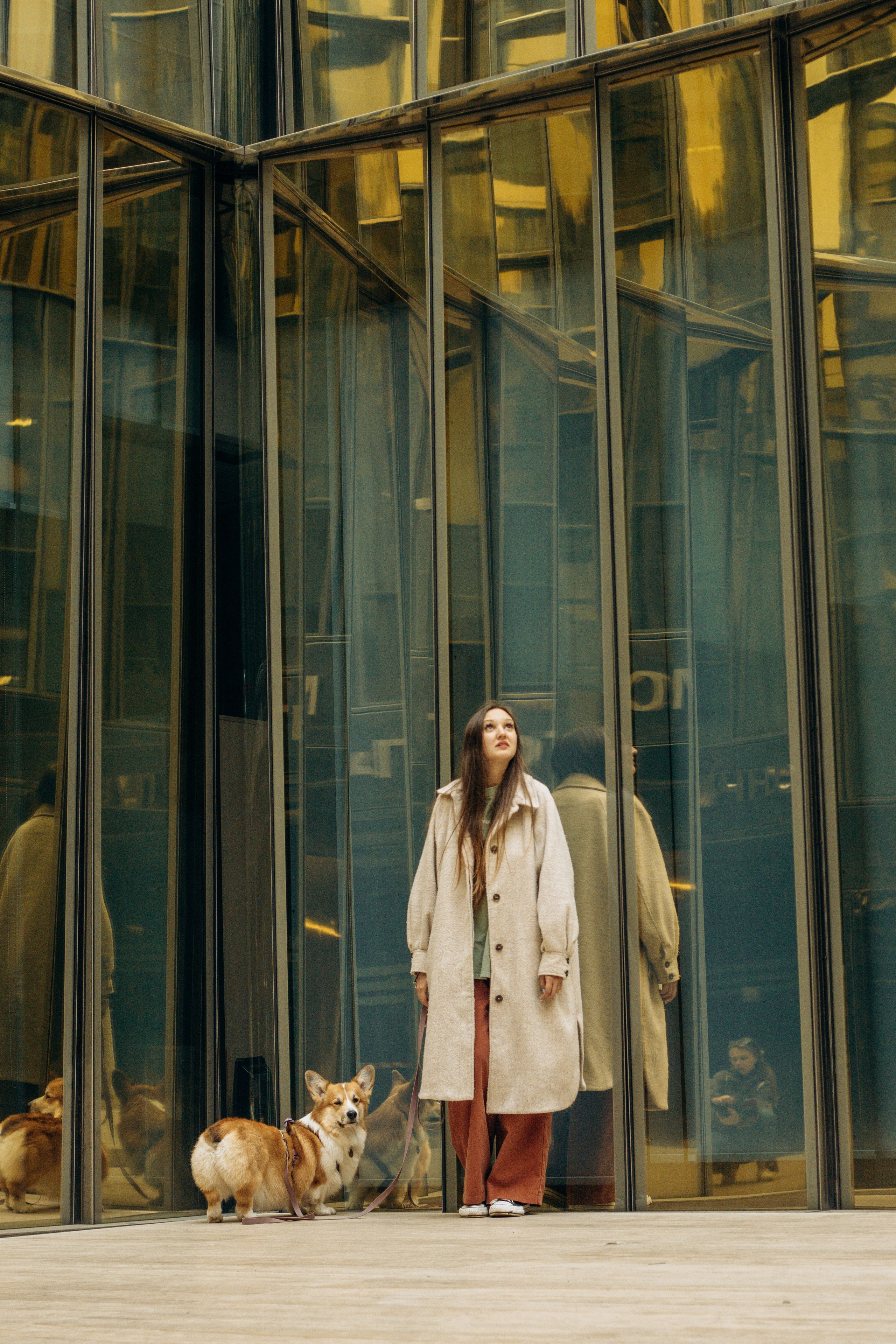 Лина и Маффин. Фотограф-анималист в Санкт-Петербурге