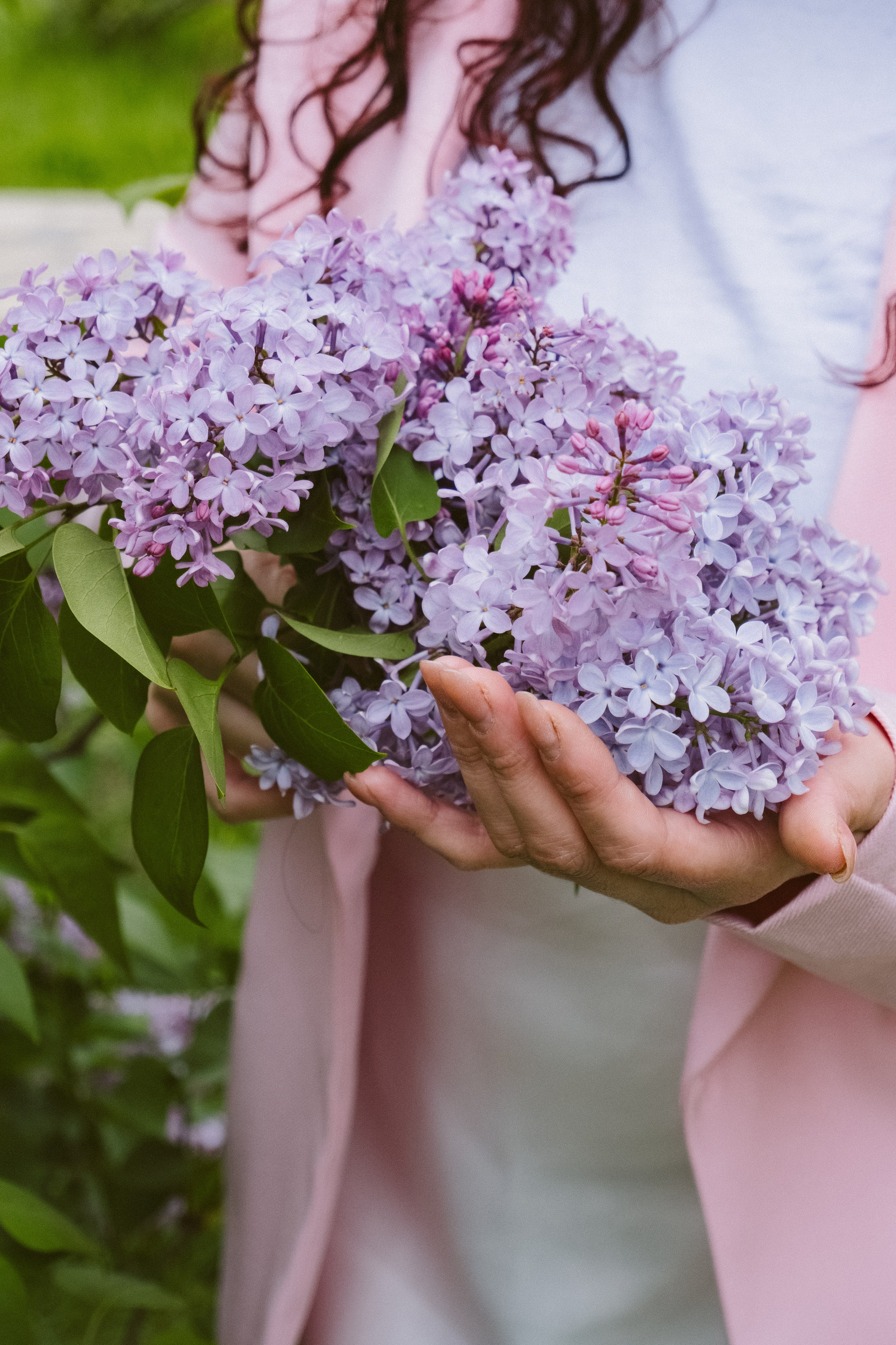 Фото-прогулка в цветущей сирени. Я Света, портретный и семейный фотограф в г. Анапа