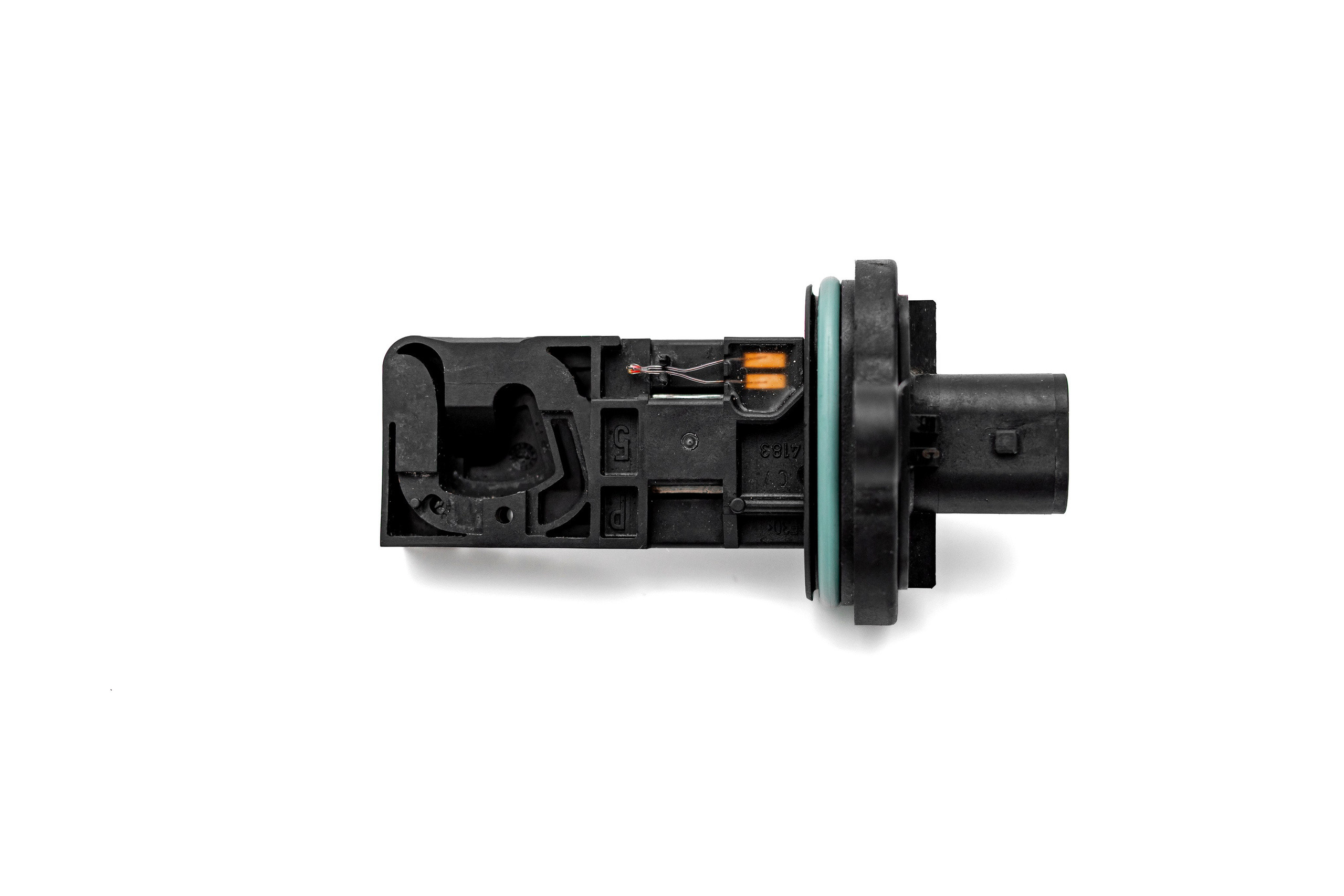 ФОТО. Фотограф Алина Гашникова