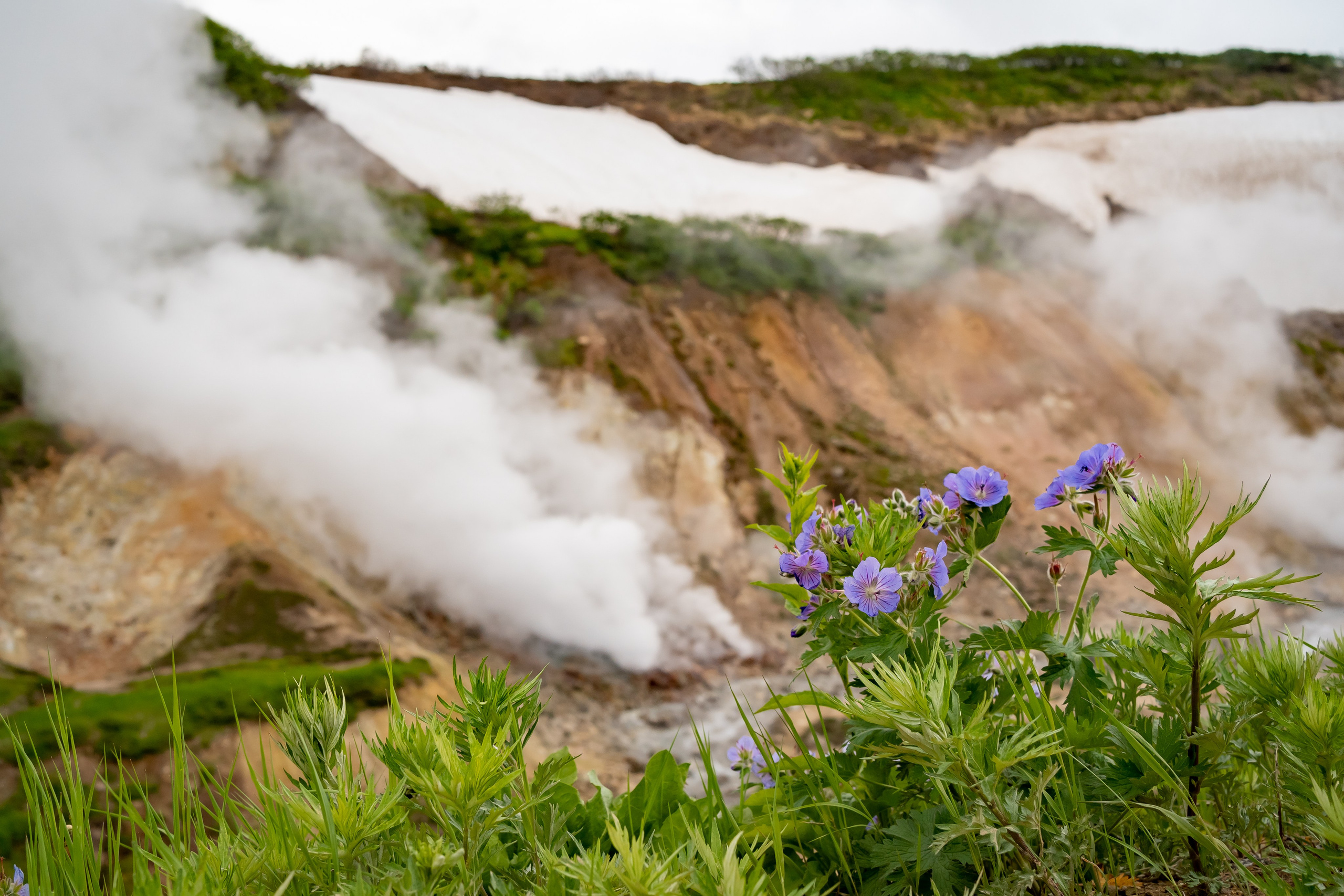 Камчатка. Семейный фотограф Варвара Сорока в городе Москве