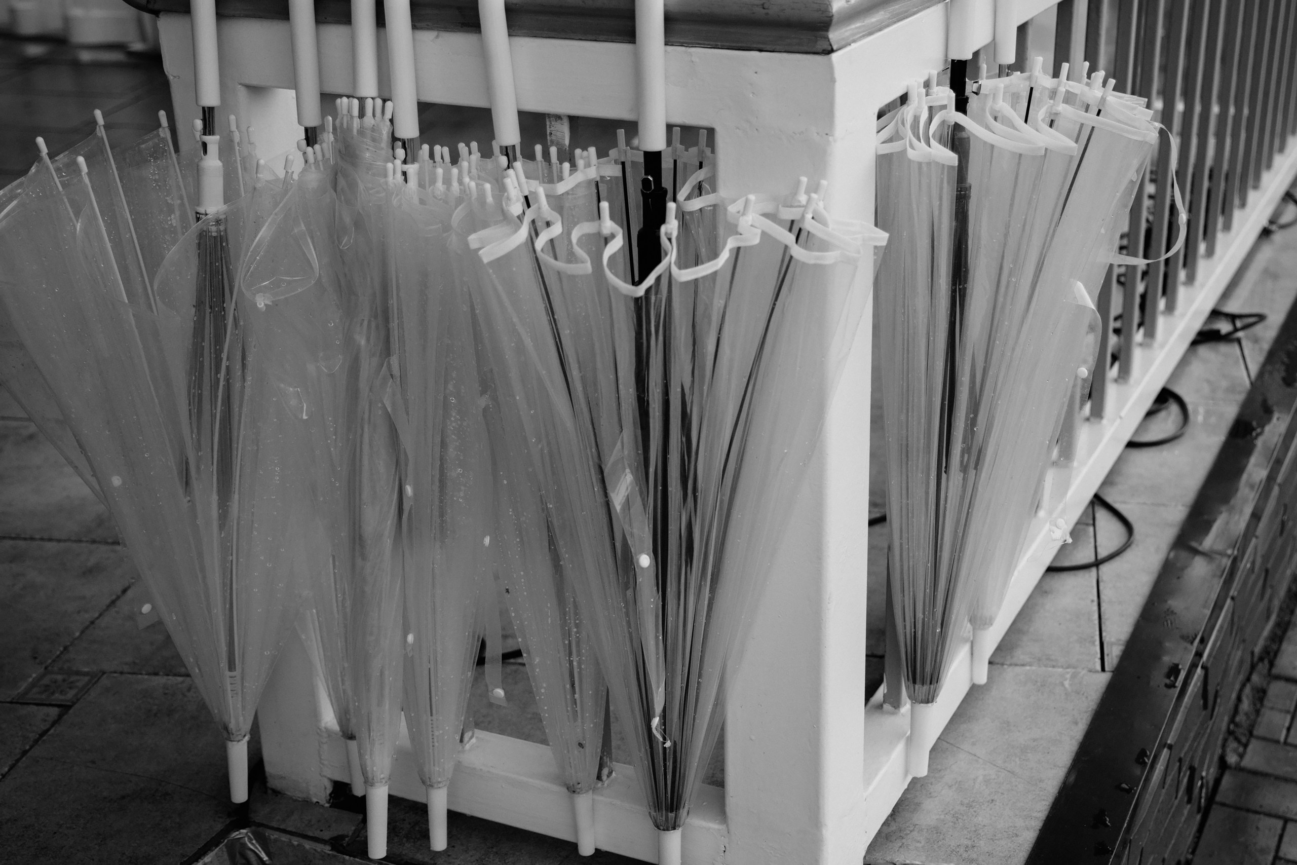 Лилия & Антон. Свадебный фотограф в Томске Екатерина Дмитриева