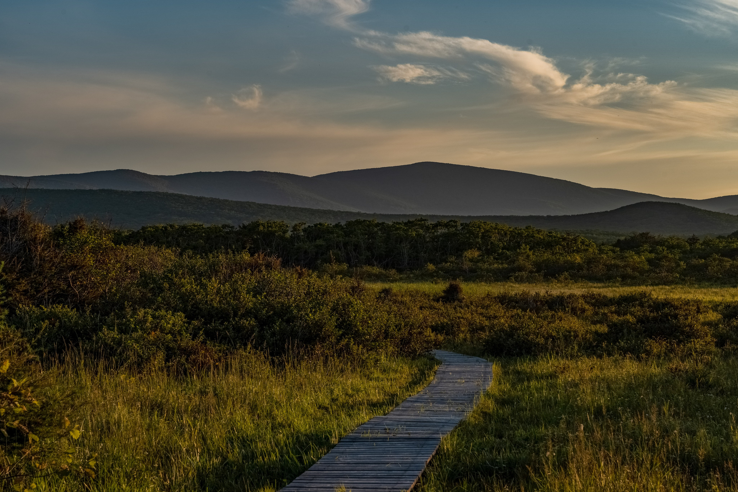 Сихотэ-Алинский заповедник, Приморский край. Репортажный фотограф в Крыму Ксения Гасица