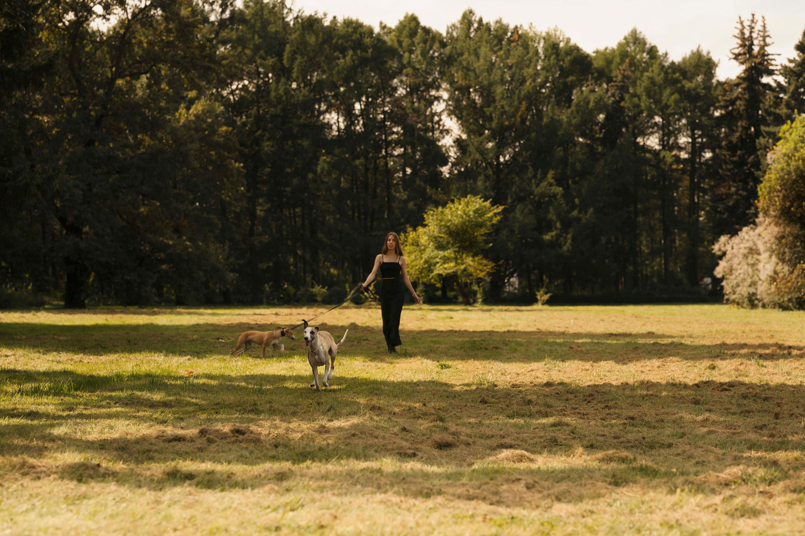 Нева и Персей. Фотограф- анималист Александра Матвеева