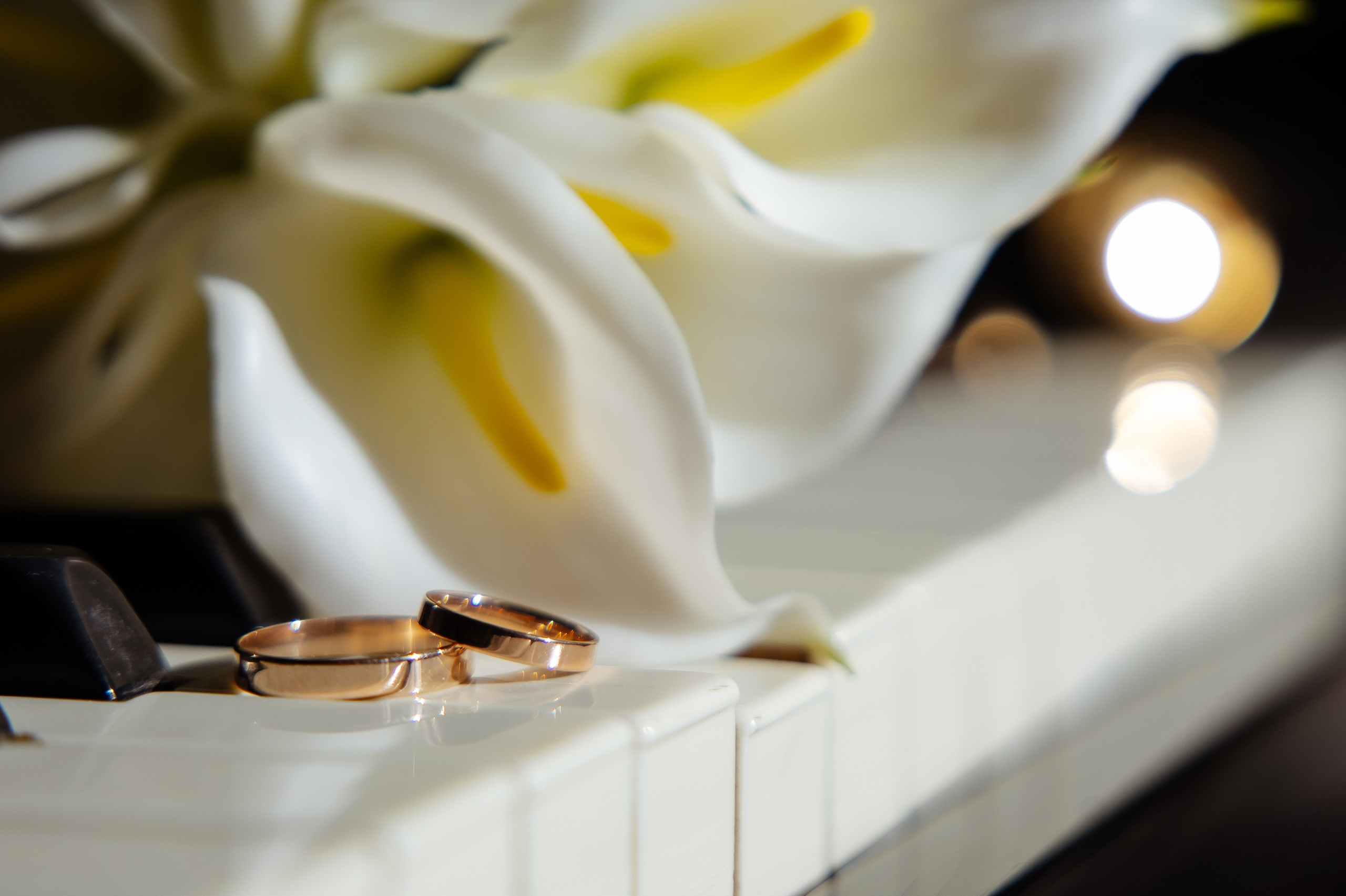 Ангелина и Александр. Семейный фотограф в Марксе Светлана Шибаршина