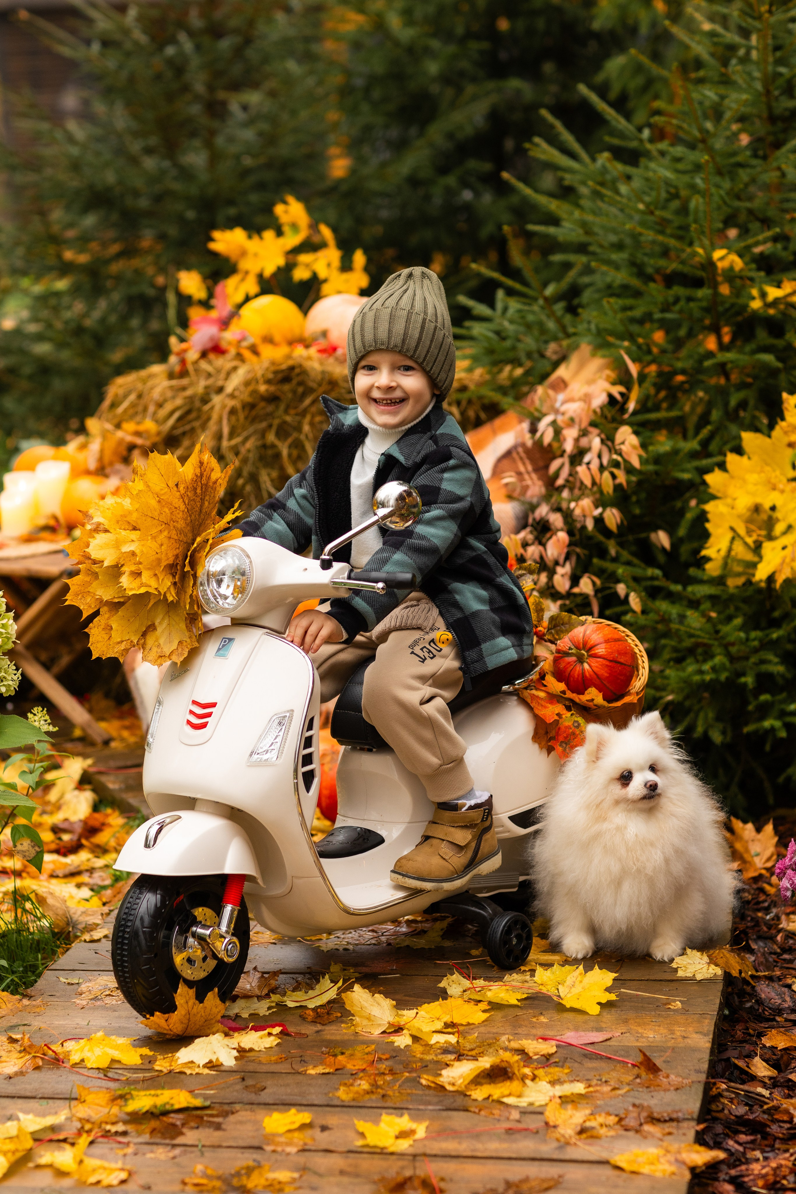 Осень. Профессиональный ретушер Москва и весь мир — Елена Тимченко