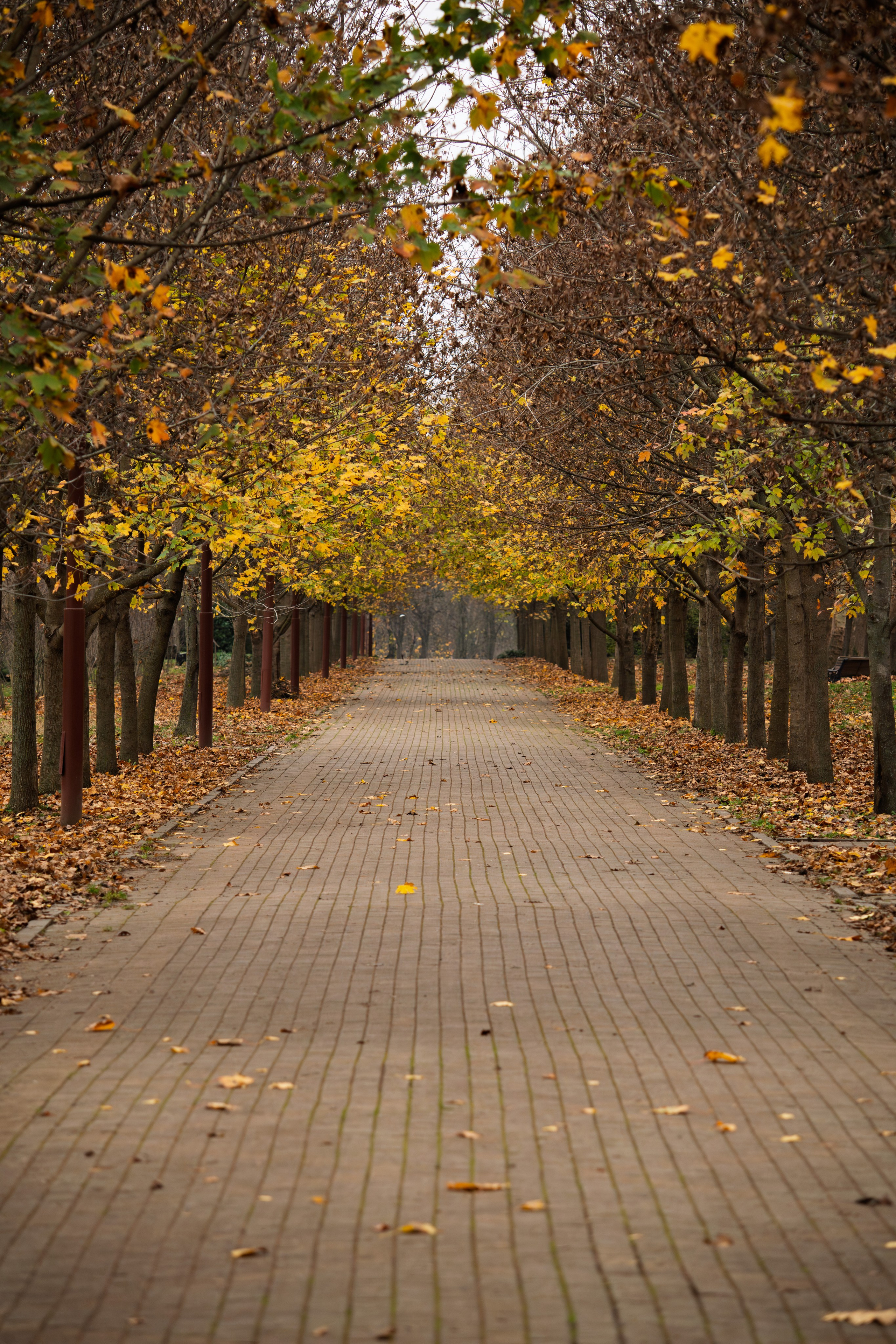 Животные. 35 мм