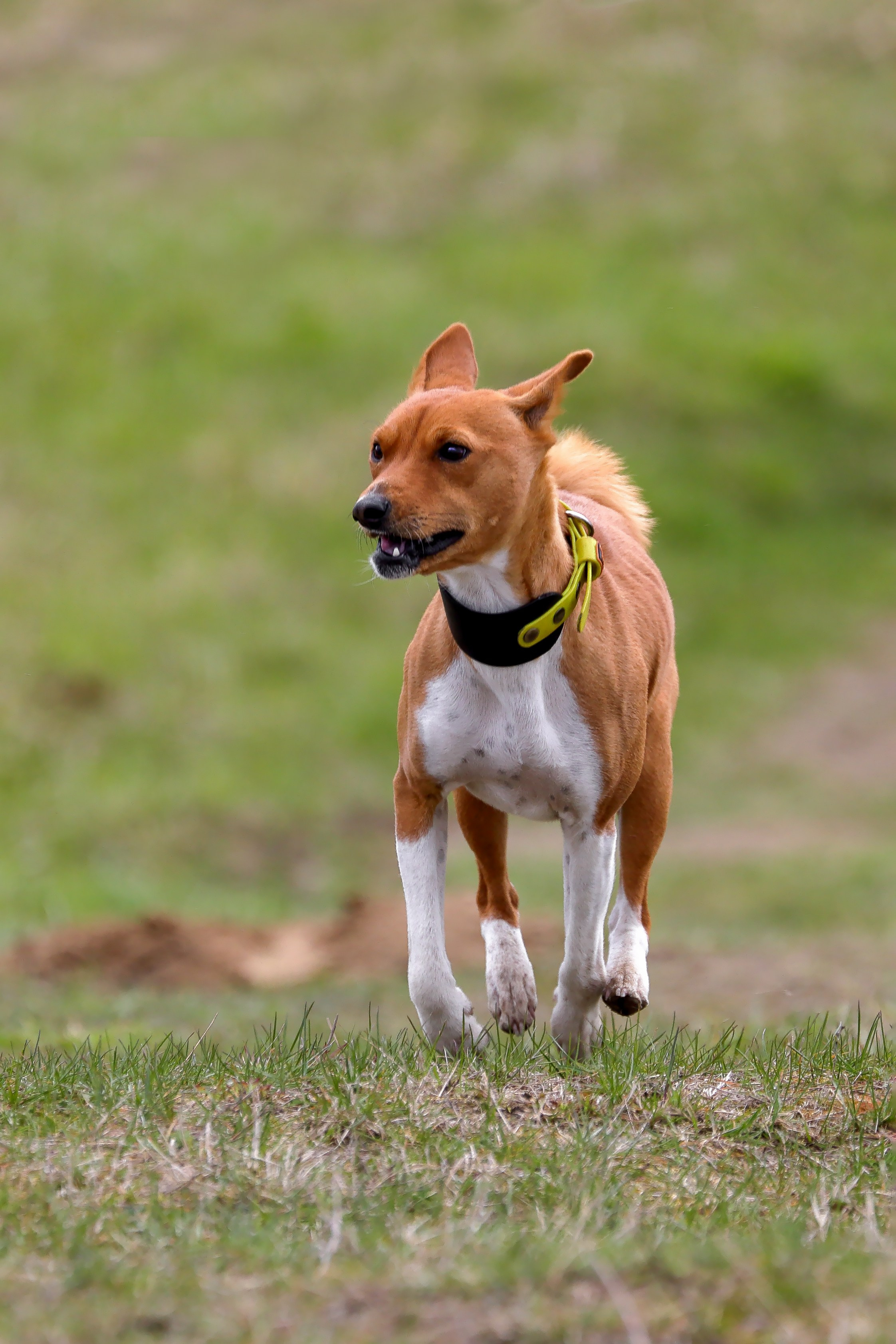 Lure Club май 2024. Irenephoto.ru