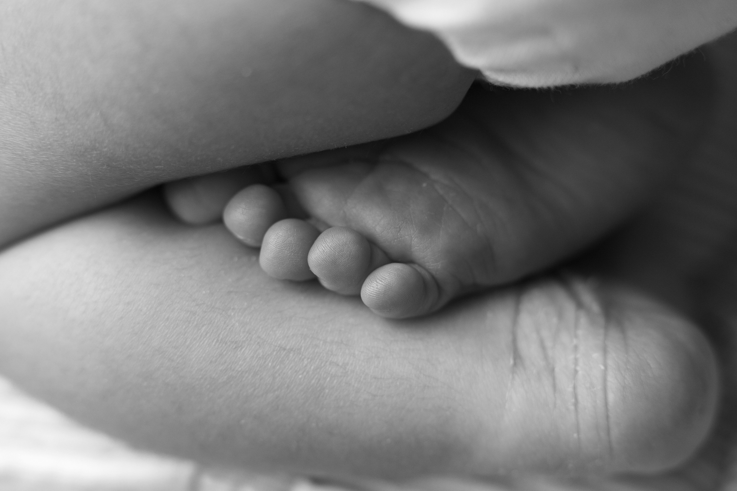 ЧБ и МАКРО-КАДРЫ. Детский, семейный и фотограф новорождённых в Ярославле Анна Салова