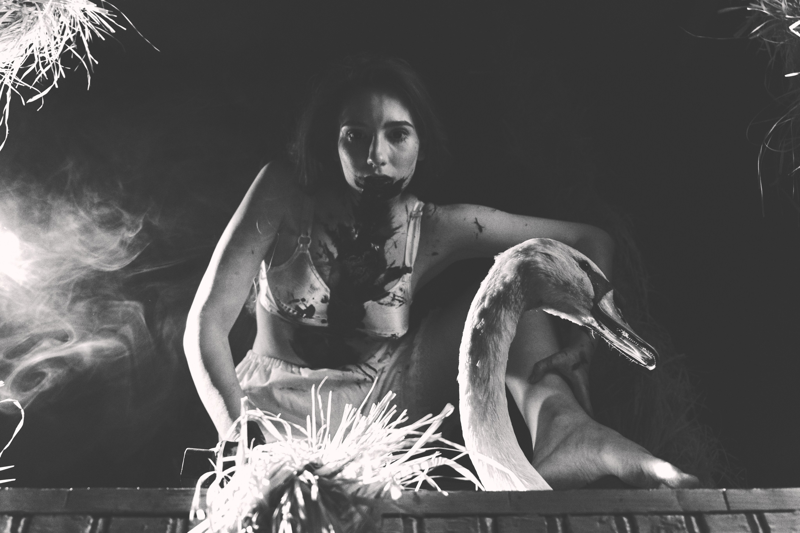 Гуси Лебеди. Фотограф Настя Лев