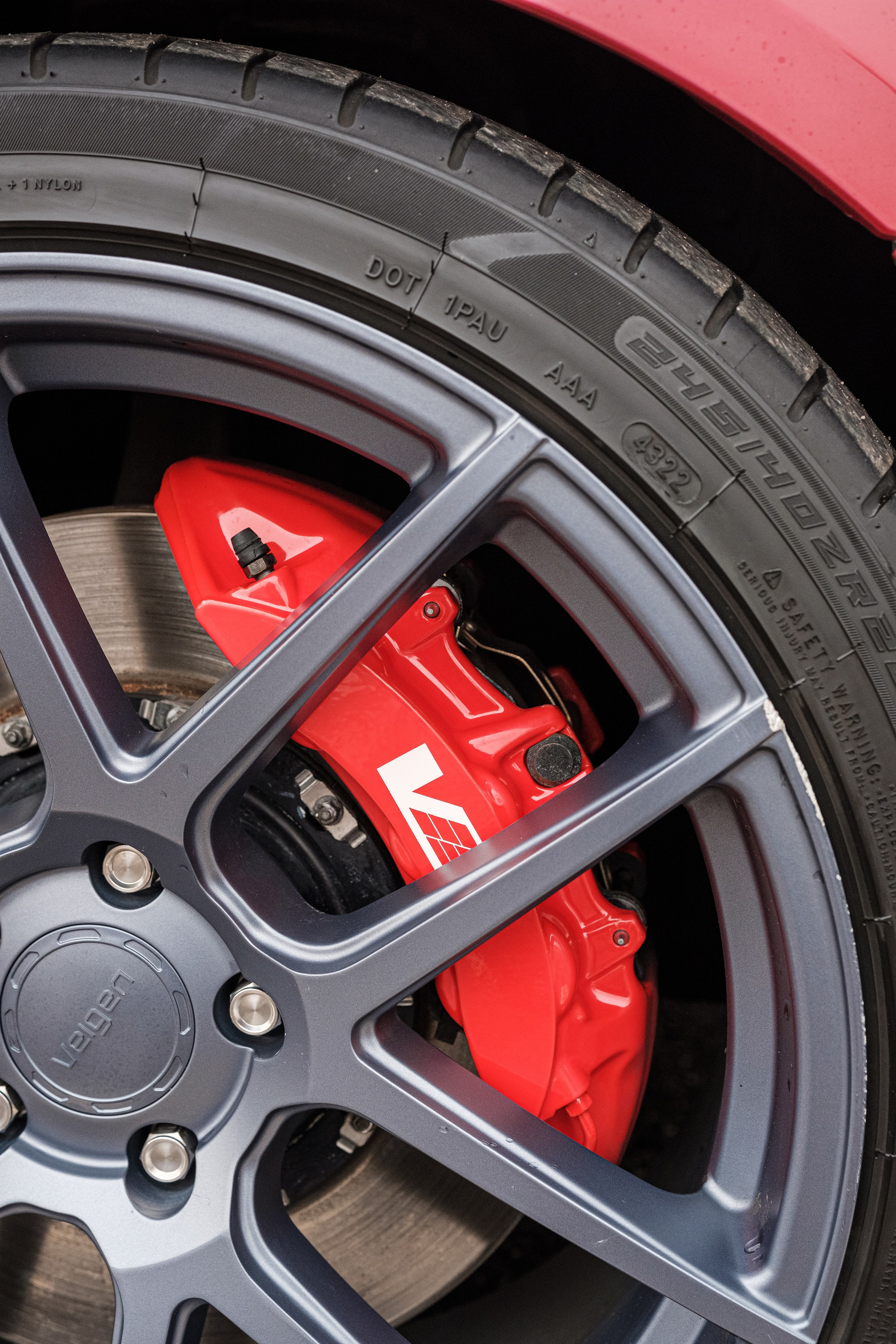 Кэдди. Алексей Никифоров фотограф Москва, Химки