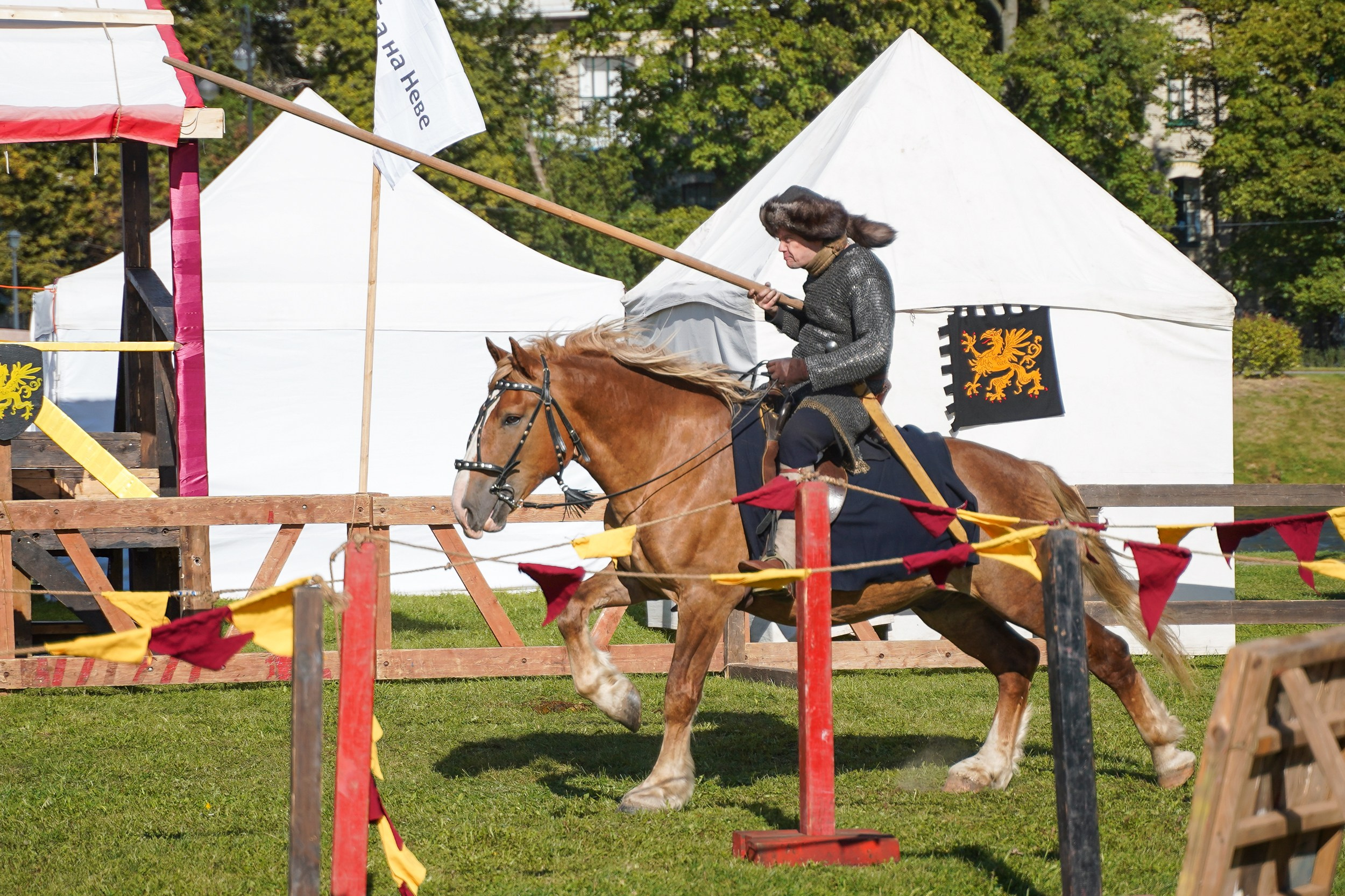 Рыцарский турнир в рамках фестиваля «Битва на Неве» Санкт-Петербург 2024 г. Фотограф-анималист, портретный фотограф в Чебоксарах Мария Садыкова