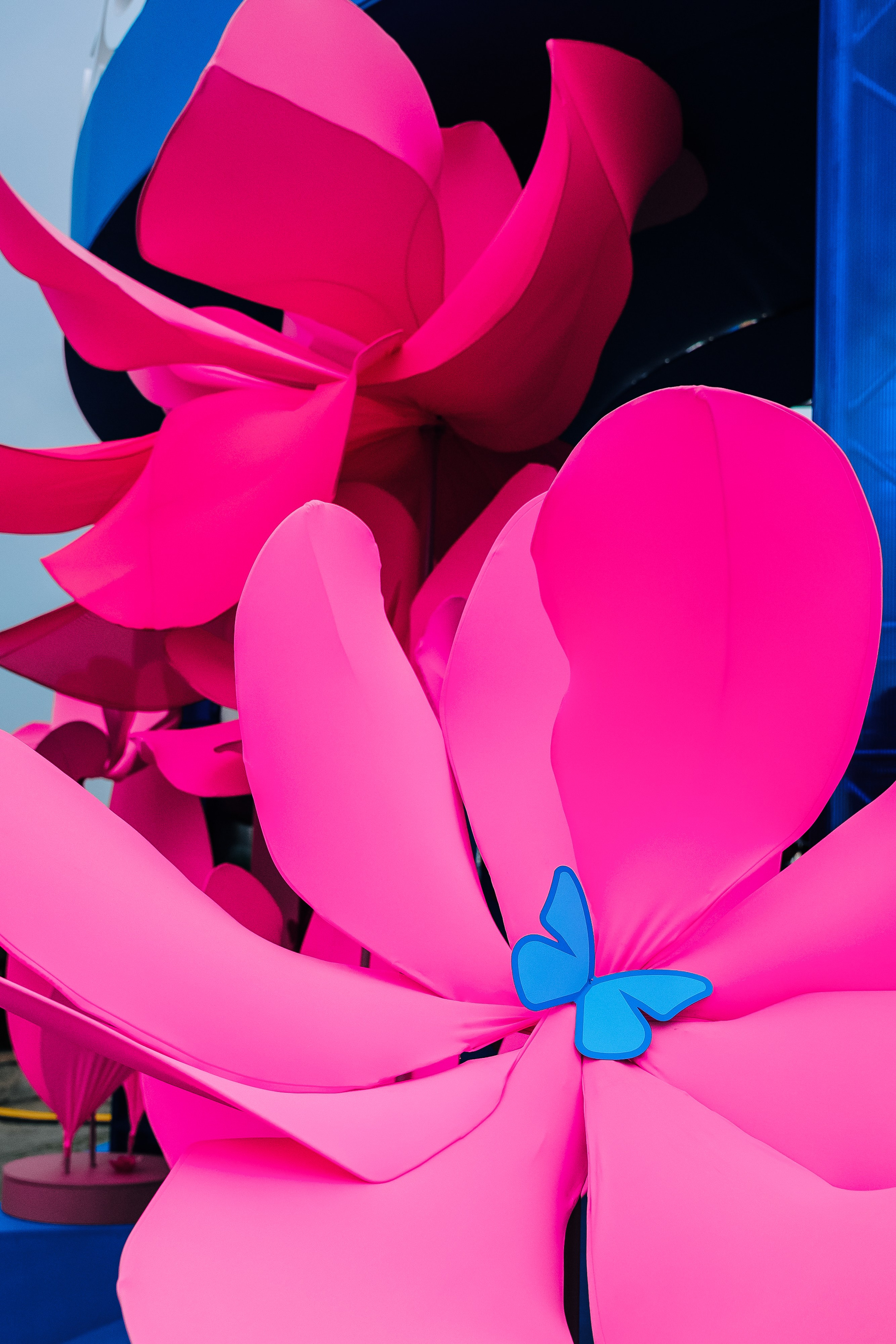 OZON x VK FEST. Репортажный фотограф Зуев Роман г. Челябинск