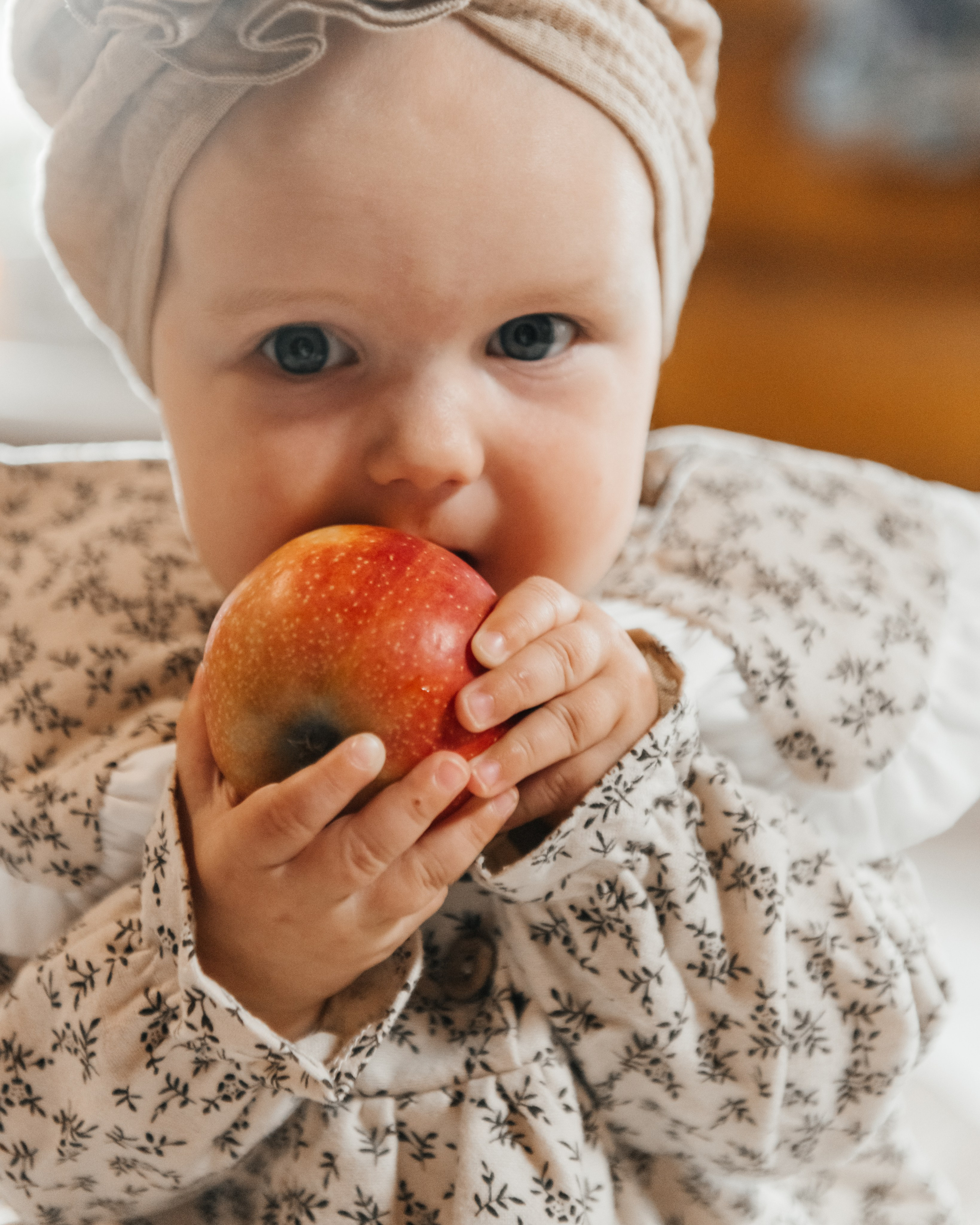 ДОМАШНИЙ УЮТ. ДИНА МИХНЕВА спортивный фотограф Москва