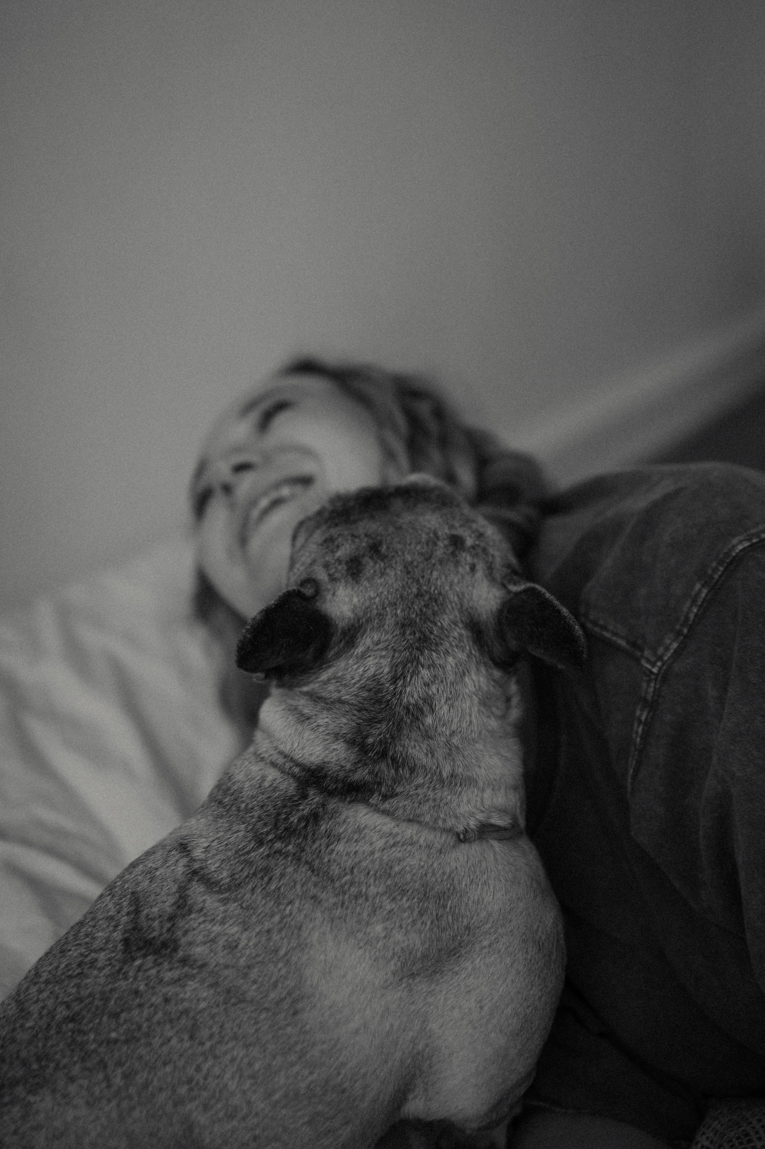 Зефирка, Булка и их Ро. Фотораф — анималист Мария Шистка