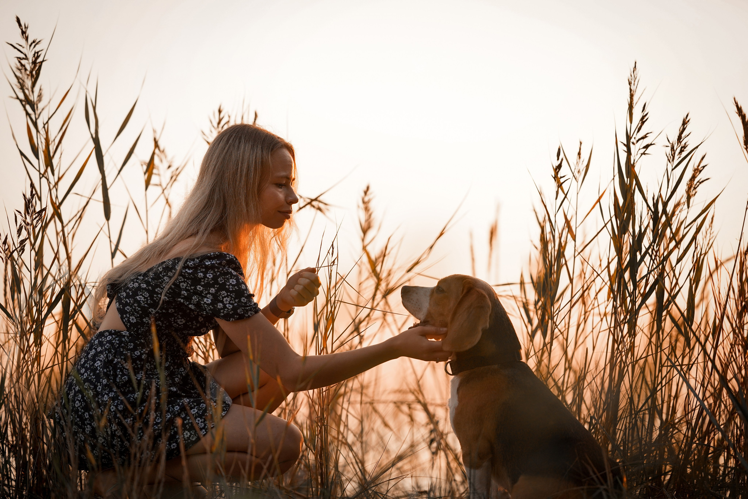 Оля Леша и Ричард. Фотограф-анималист в Санкт-Петербурге Яна Мартынова