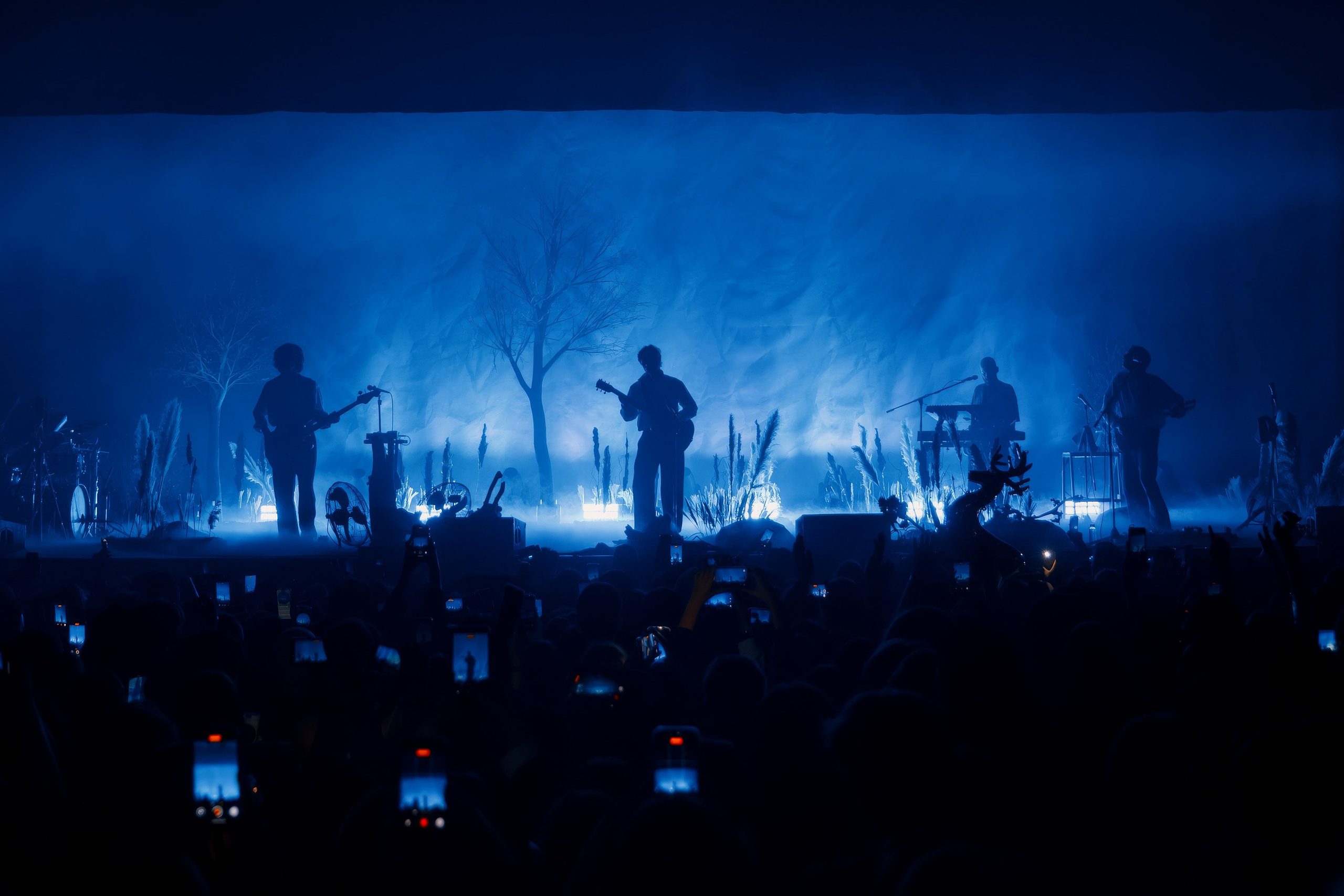 SIROTKIN | SAINT-PETRSBURG | 2026. OOPS